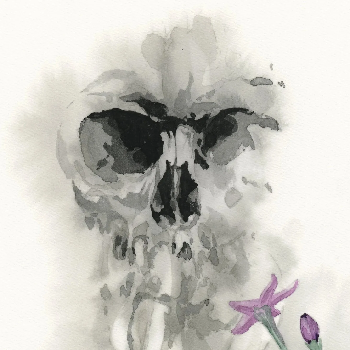 Nightshade.jpg