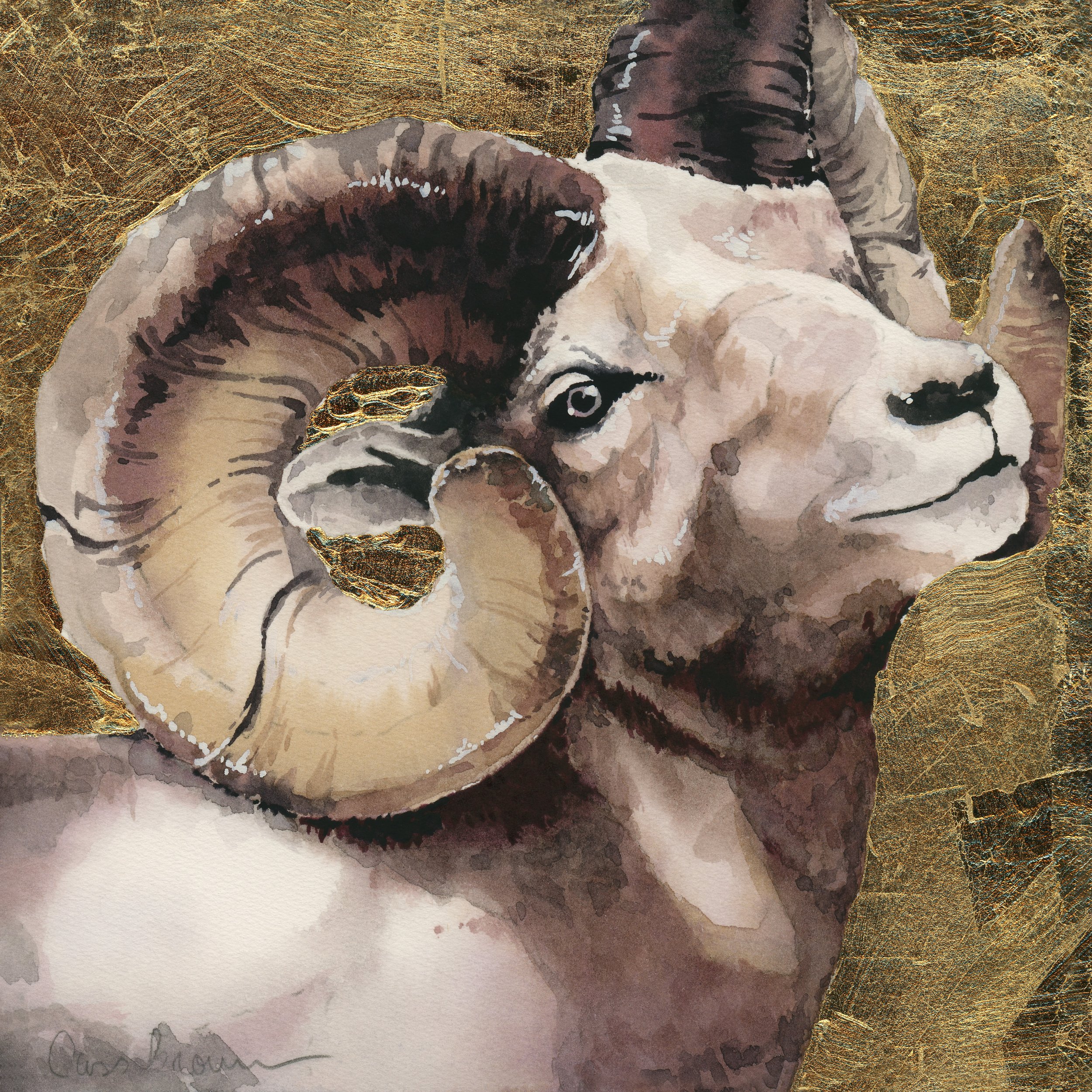 Big Horn.jpg