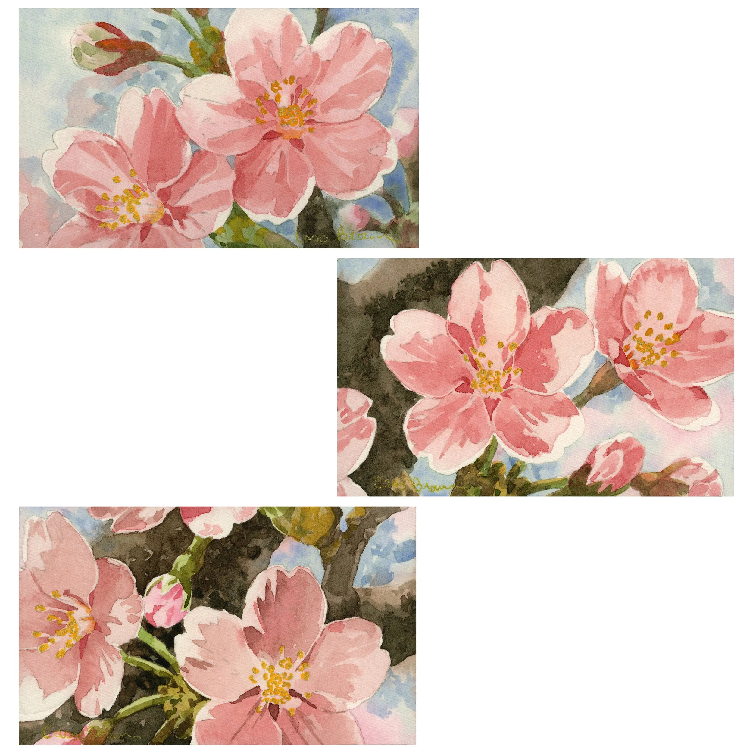 Sakura Trio.jpg
