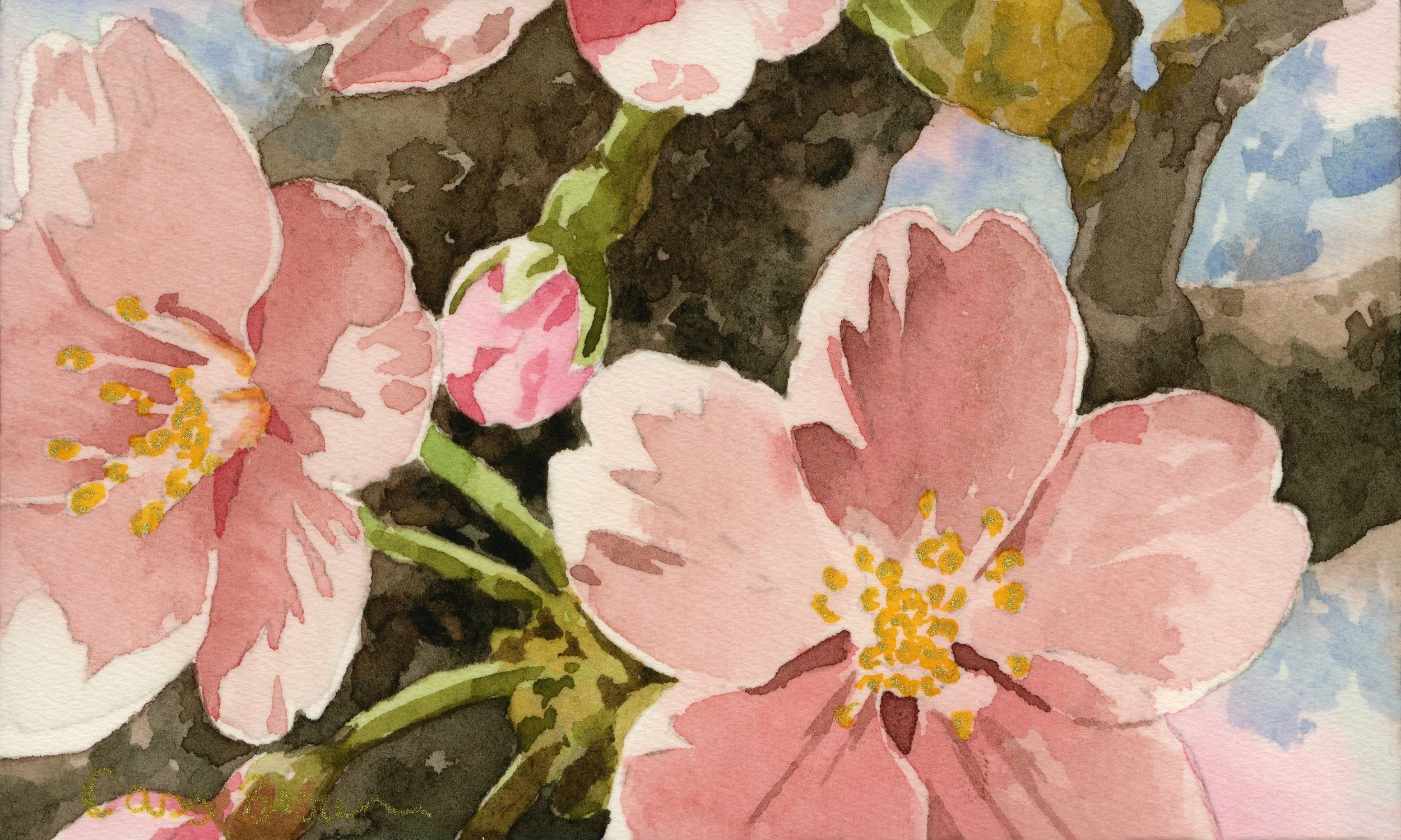 Sakura III.jpg