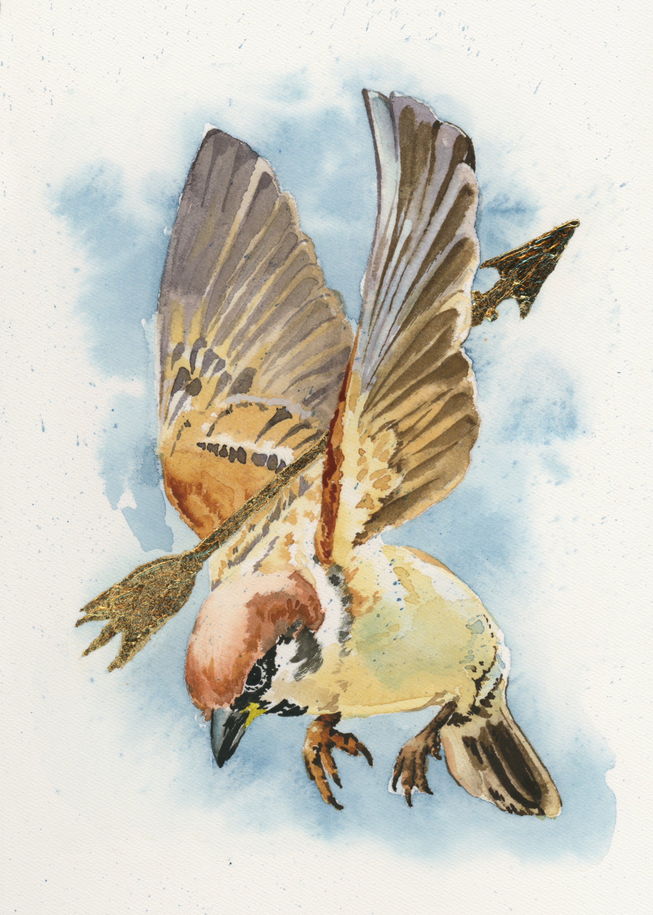 Boy and The Sparrow.jpg