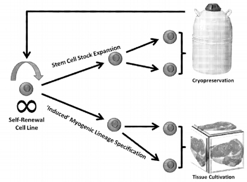 Figure 2 in the patent application. Schematic representation of the double-switch strategy.