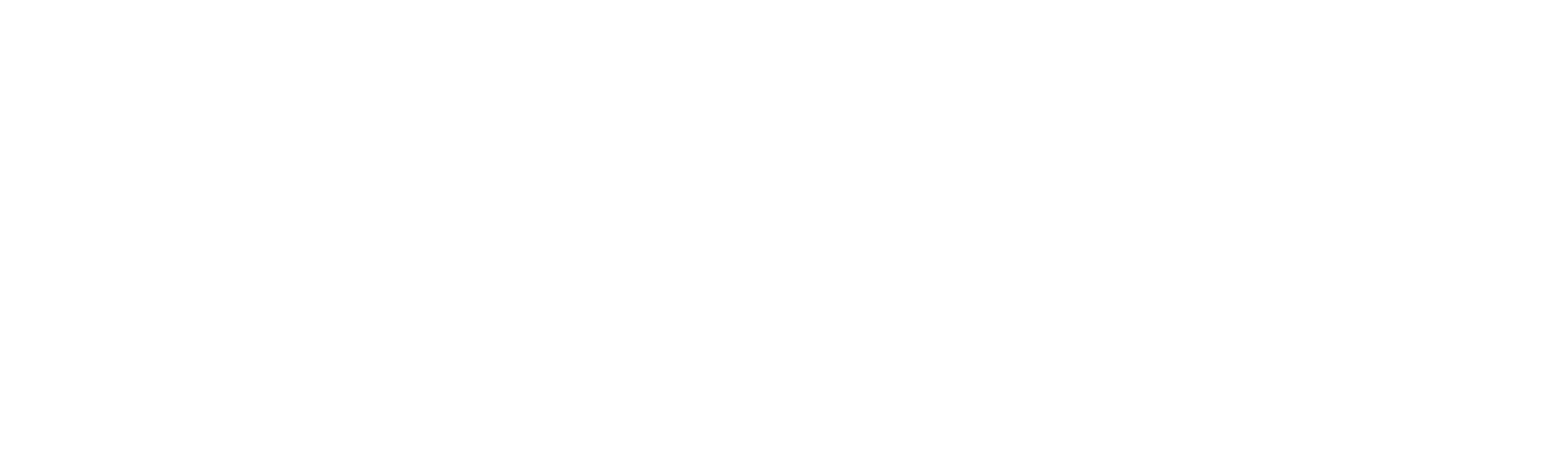 McGinnwhite_Logo.png