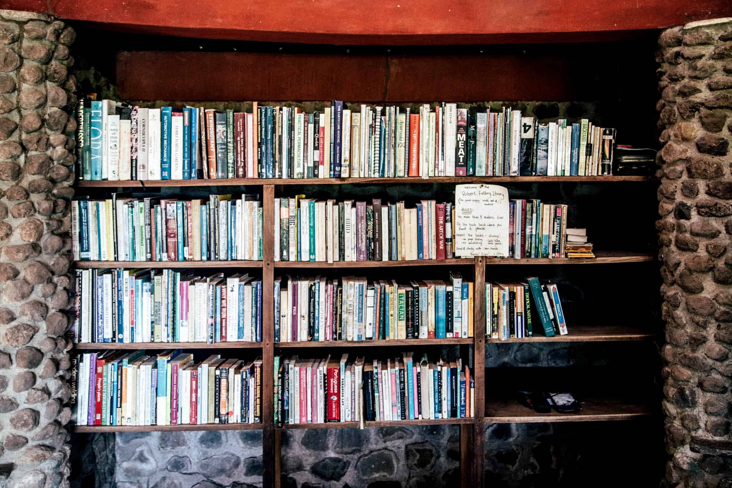 Selvista 'Robert Fielding' Library relax on Ometepe.jpg