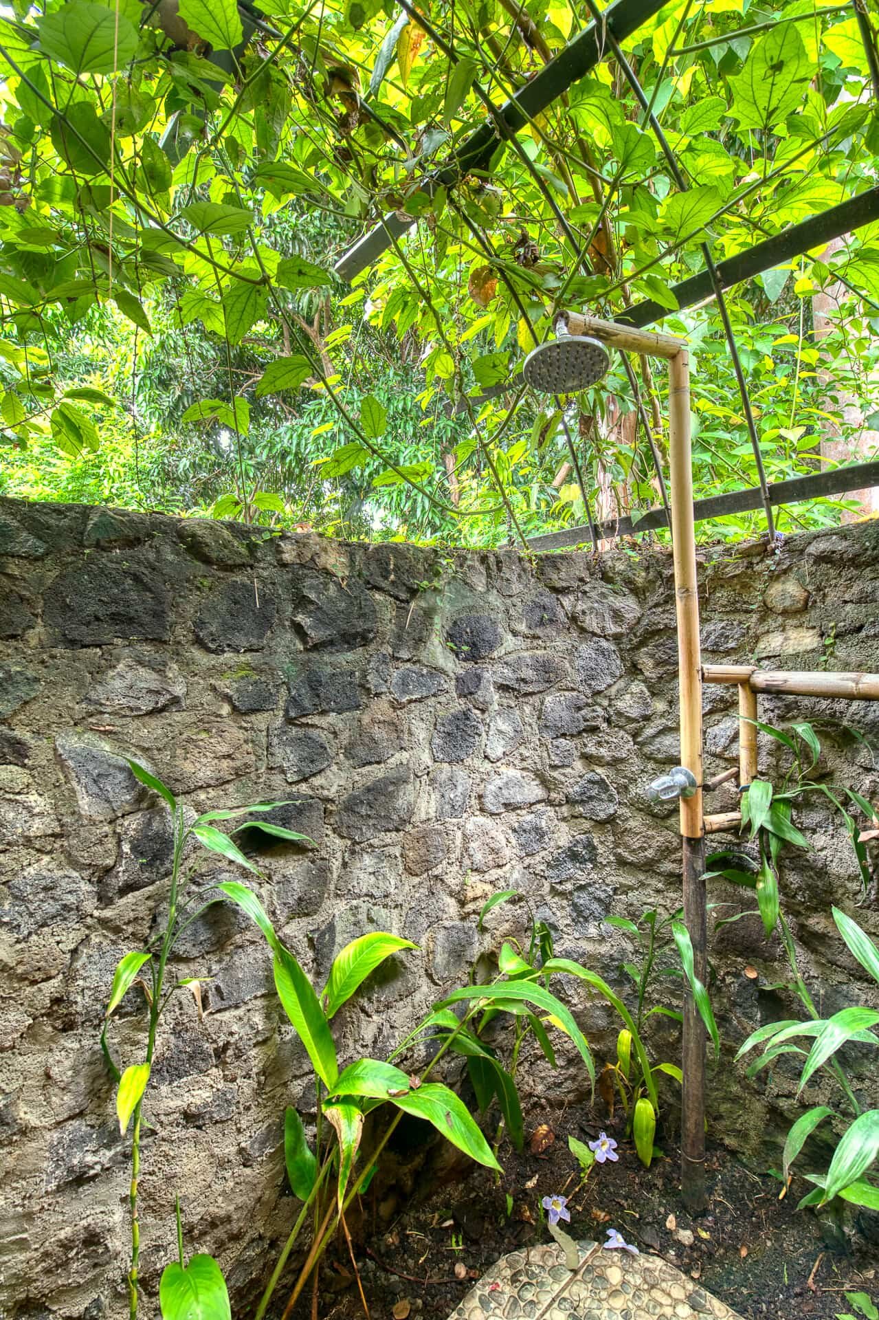 Selvista Homestead House outdoor-indoor bathroom and shower.jpg