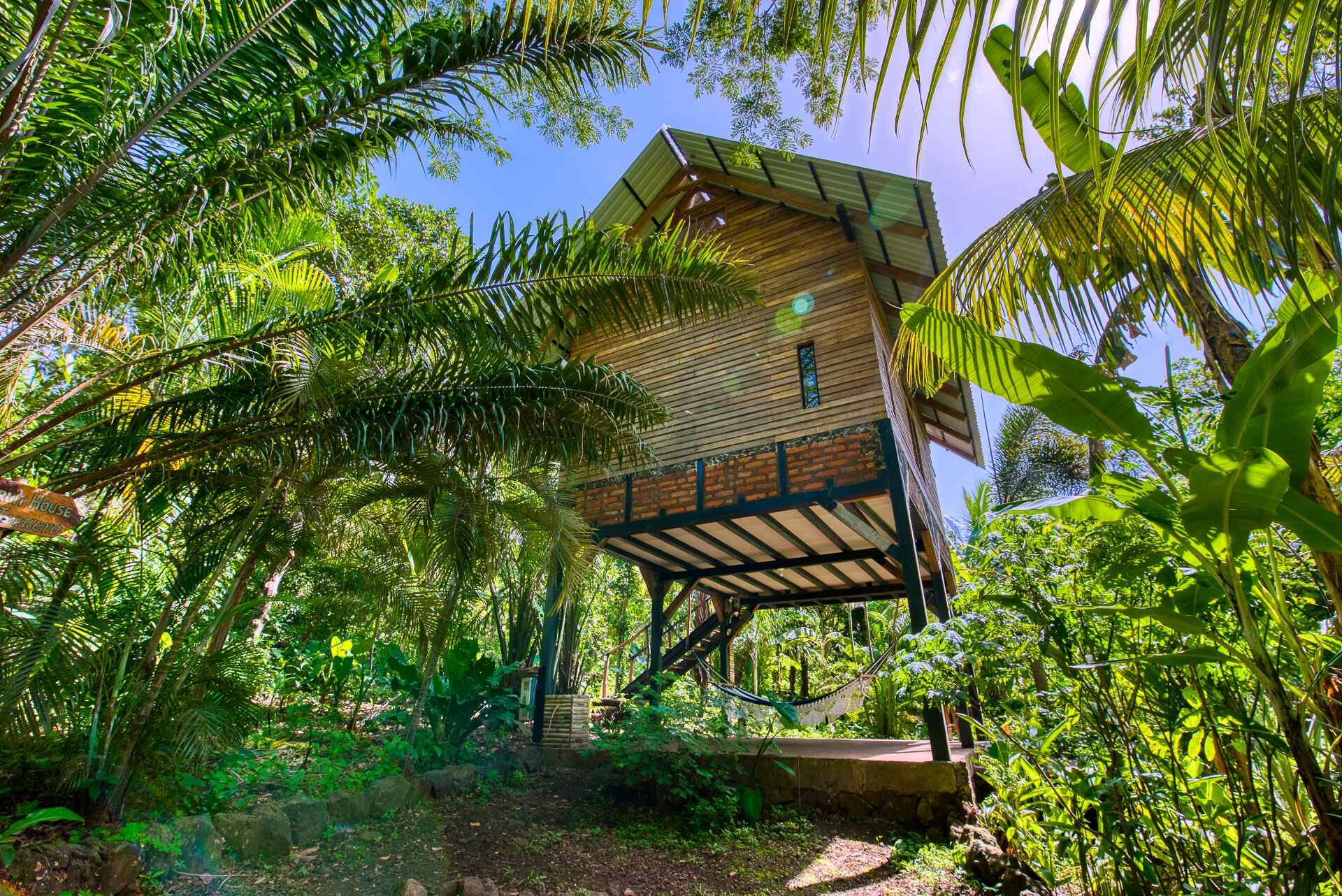 Luxury jungle house, up in the trees, rear view, Jackfruit House, Selvista accommodations Ometepe.jpg