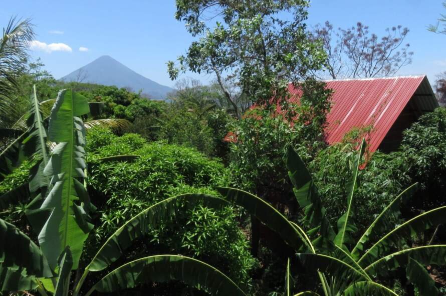 the view of Mango House from Jackfruit house balcony.jpg