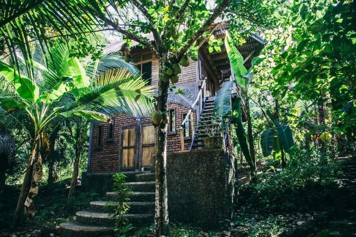 jungle house exterior.jpg