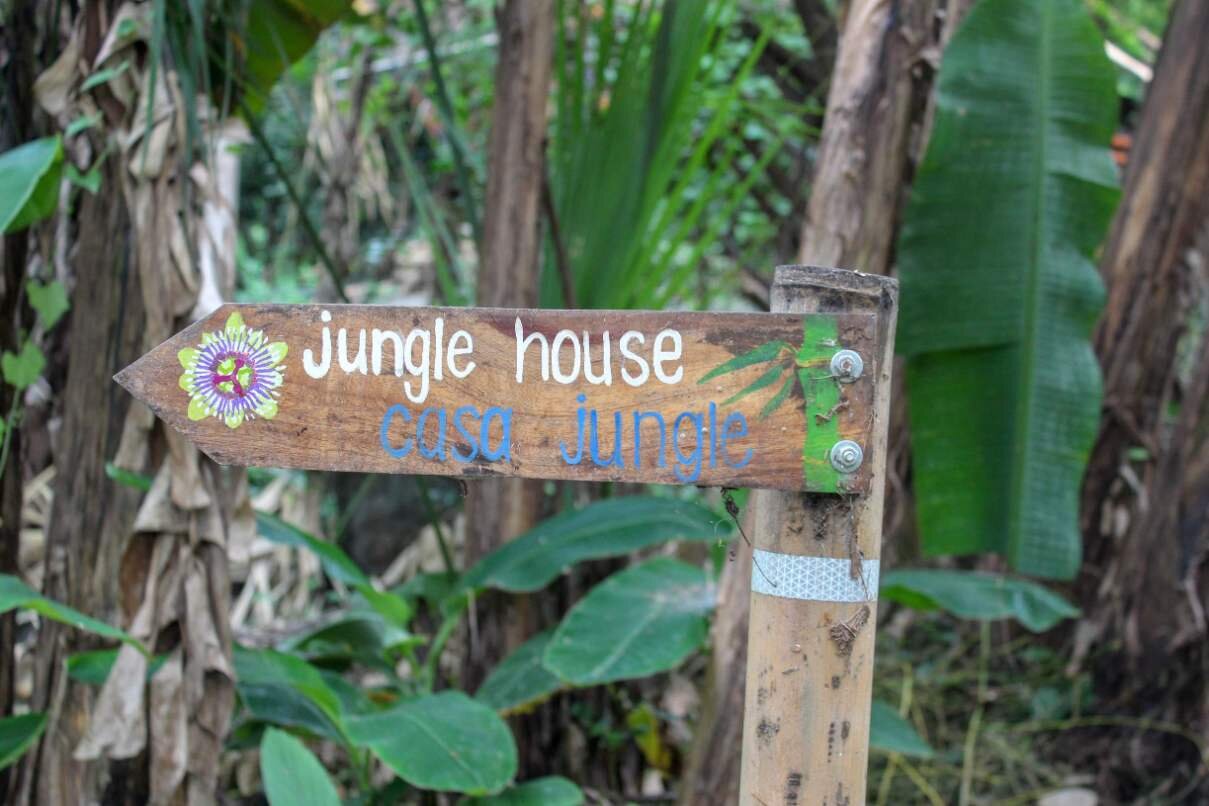 Jungle House Path Selvista Farm.jpg