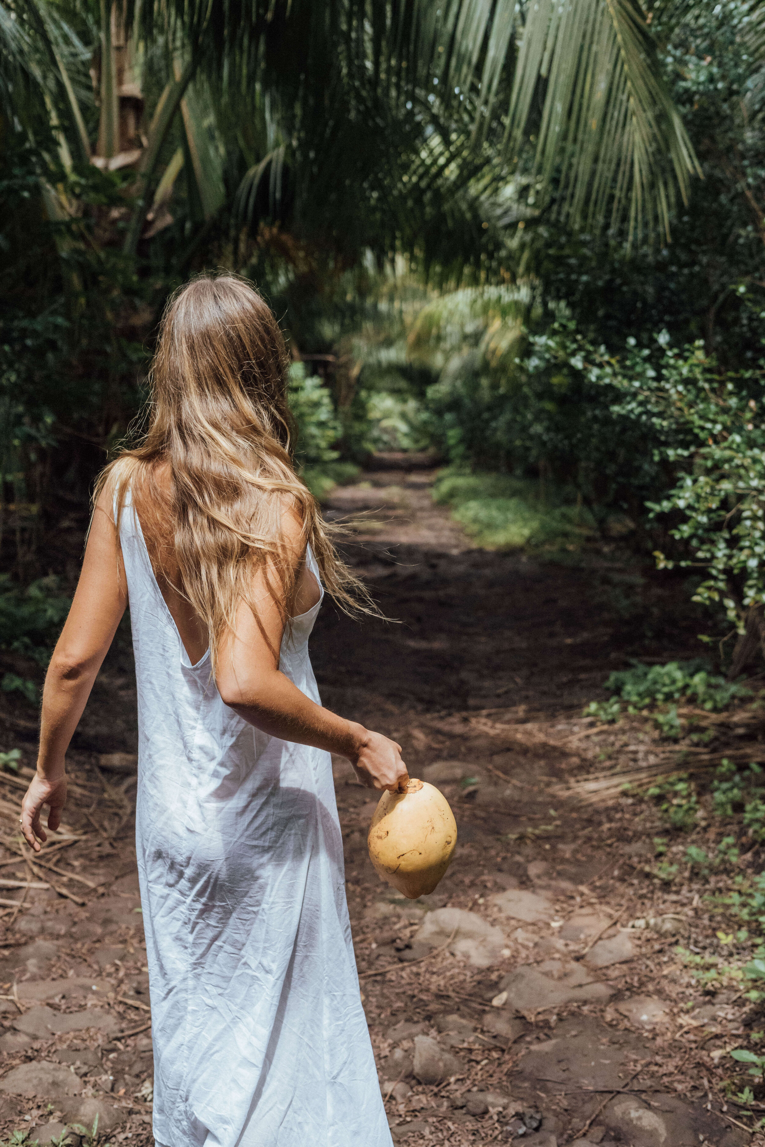 a coconut alley, Selvista farm driveway lined with coffee and coconut trees. Christina Macpherson model.jpg