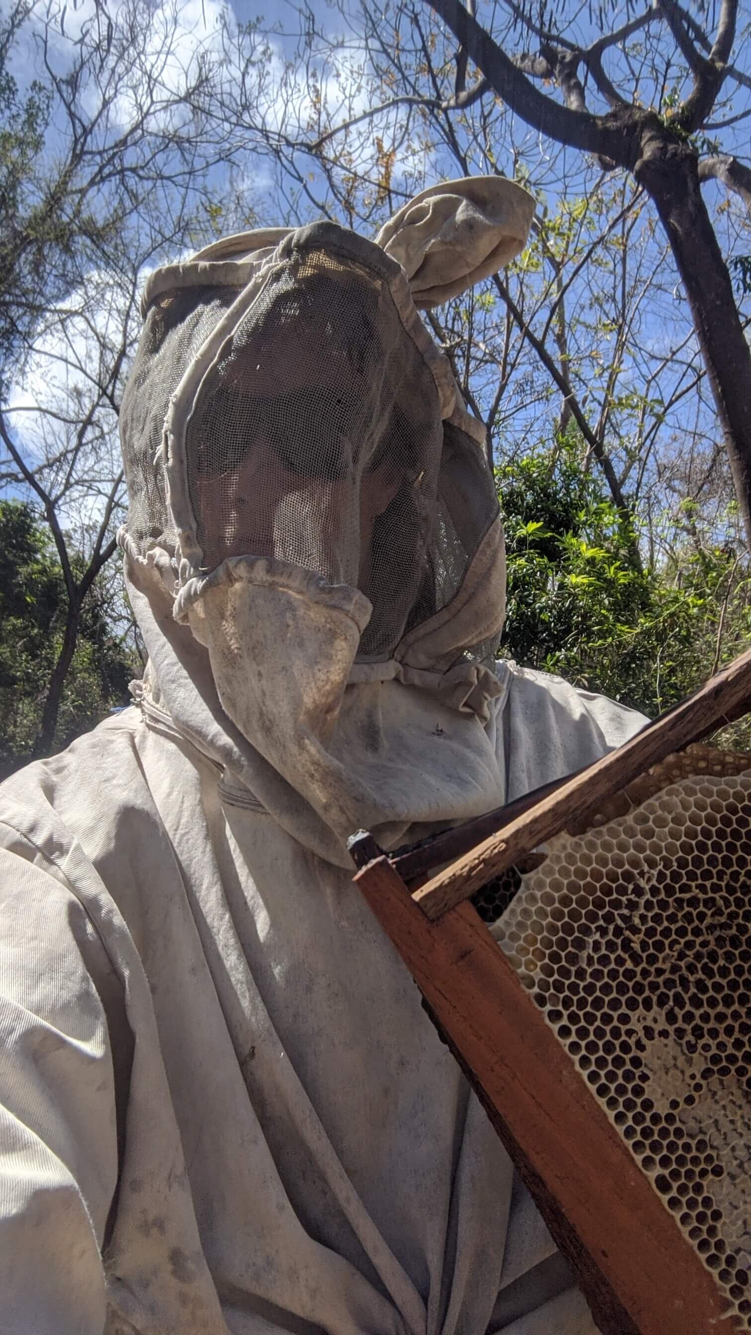 suited and booted collecting honey on Ometepe .jpg