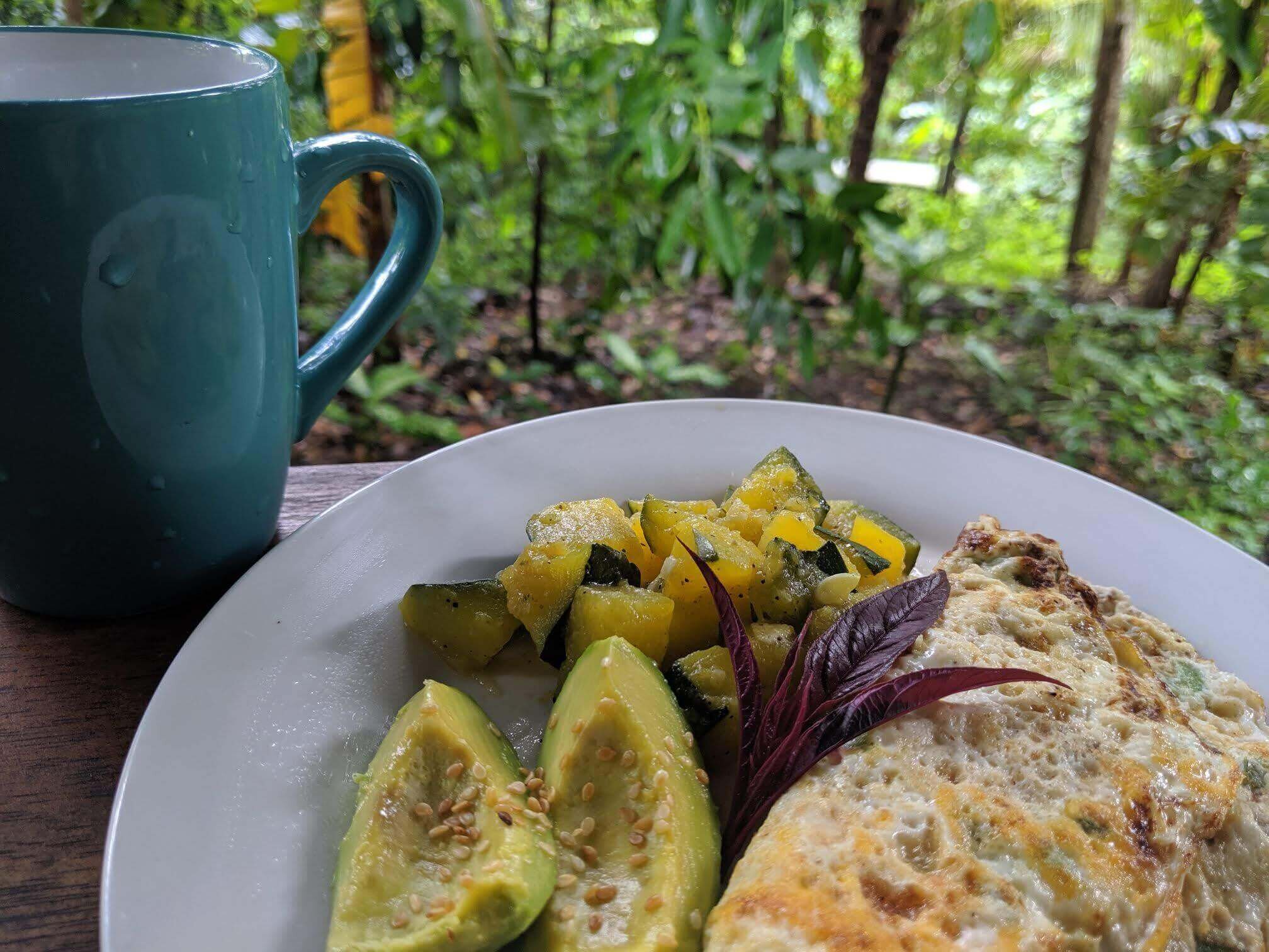 selvista breakfast varies daily, we use fresh, local and seasonal produce farm-to-table Ometepe restaurants.jpg
