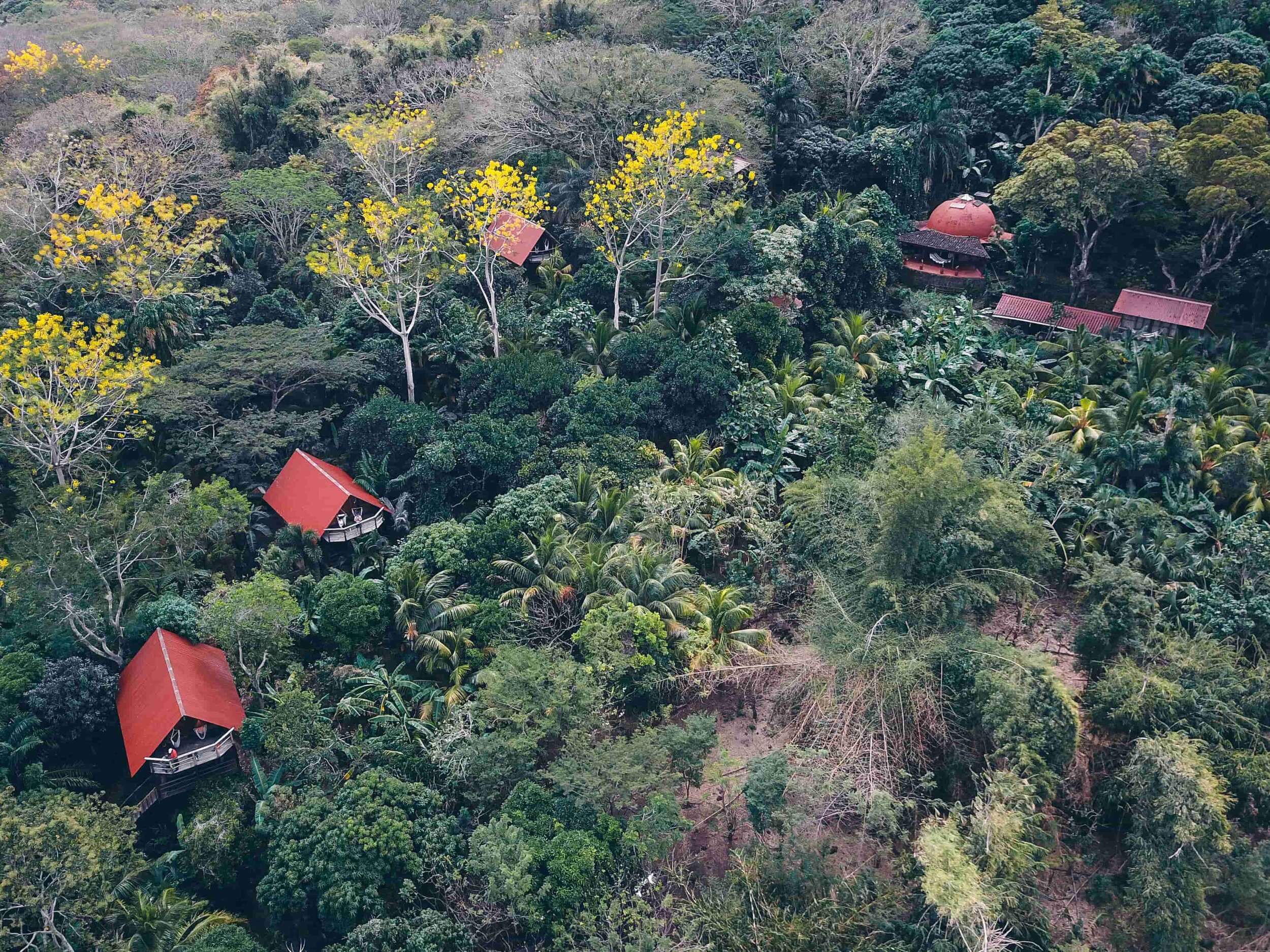 drone shot of Selvista Guesthouses.jpg
