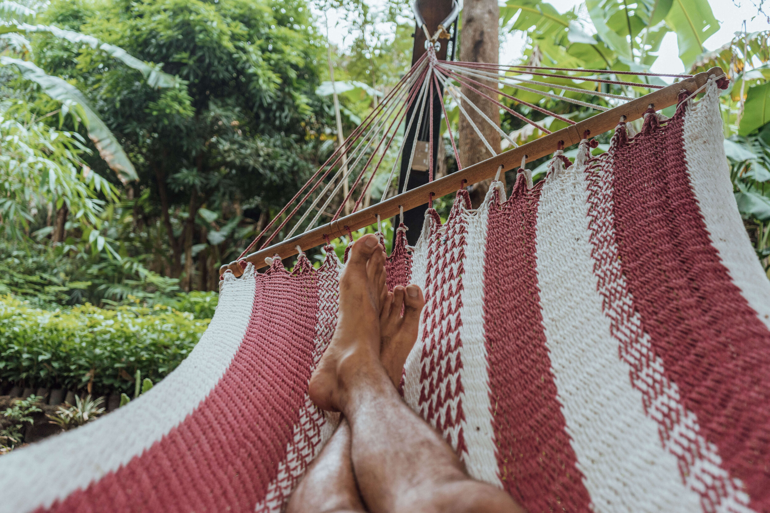 relaxing among nature in the private hammocks surrounded by nature at the Homestead House, Selvista Guesthouses.jpg