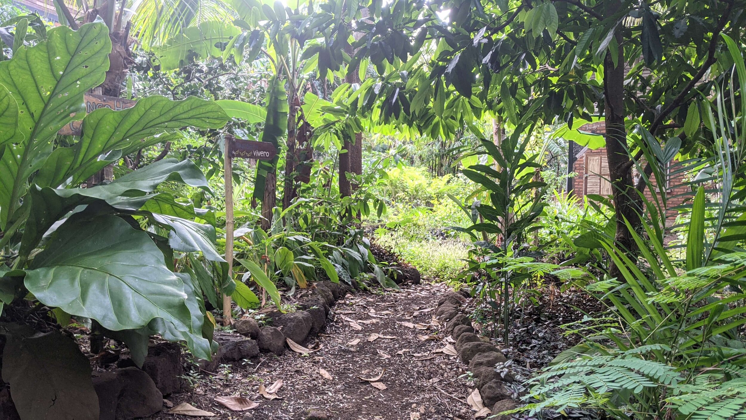 entry to selvista plant nursery.jpg