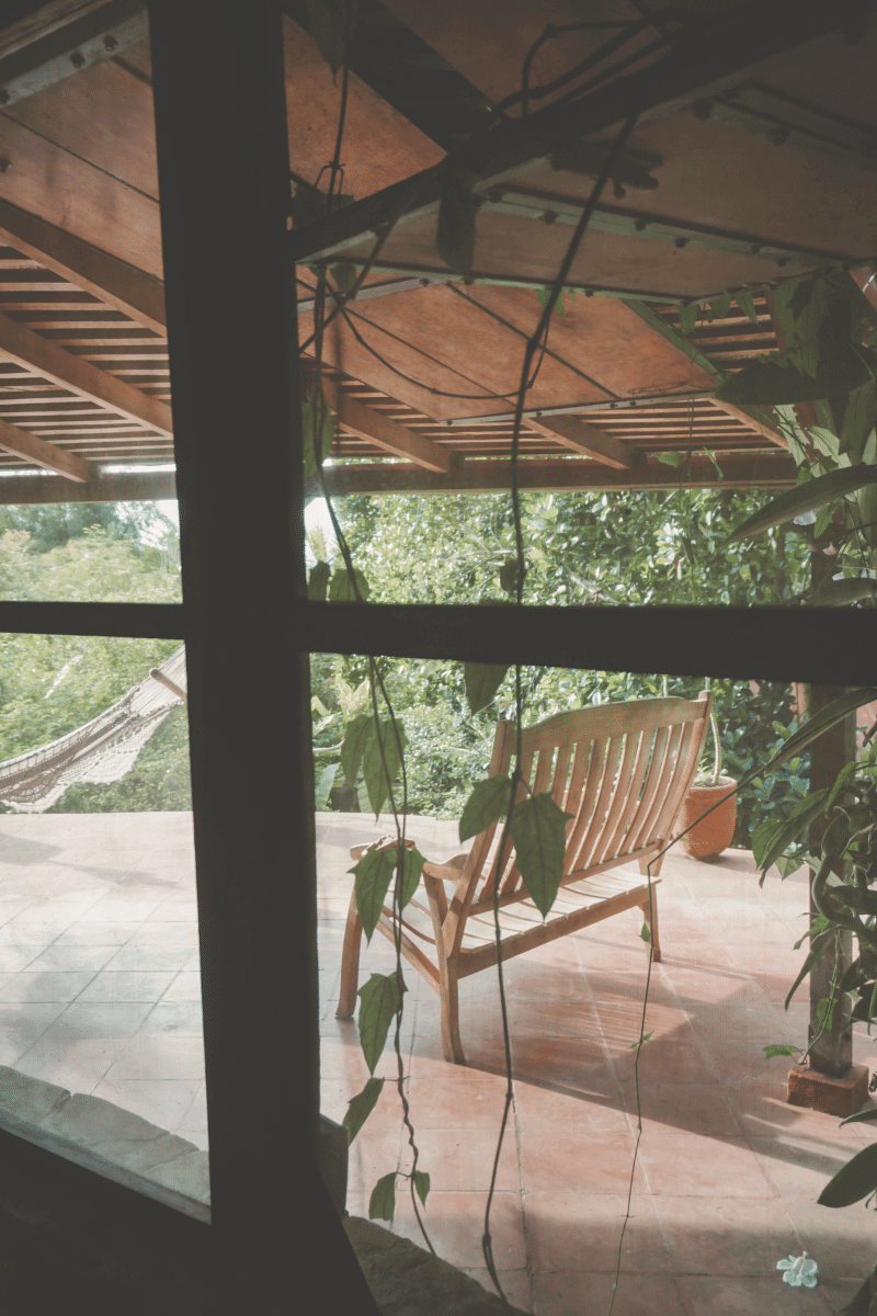 homestead window creeping vines and seating area.png