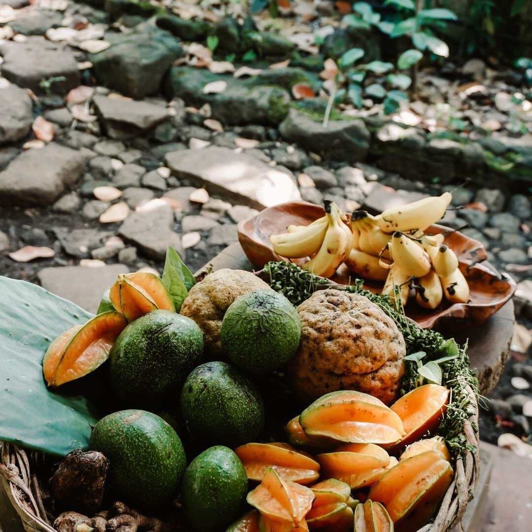 Daily Harvests: the rain keeps falling and the trees keep giving and we keep juicing and loving. ⁠
⁠
#experienceometepe #selvistaexperience ⁠
#selvistaguesthouses⁠
#selvistakitchen⁠
#selvistafarm⁠
⁠
#ometepeisland  #ometepe #islaometepe ⁠
 #jungle #t