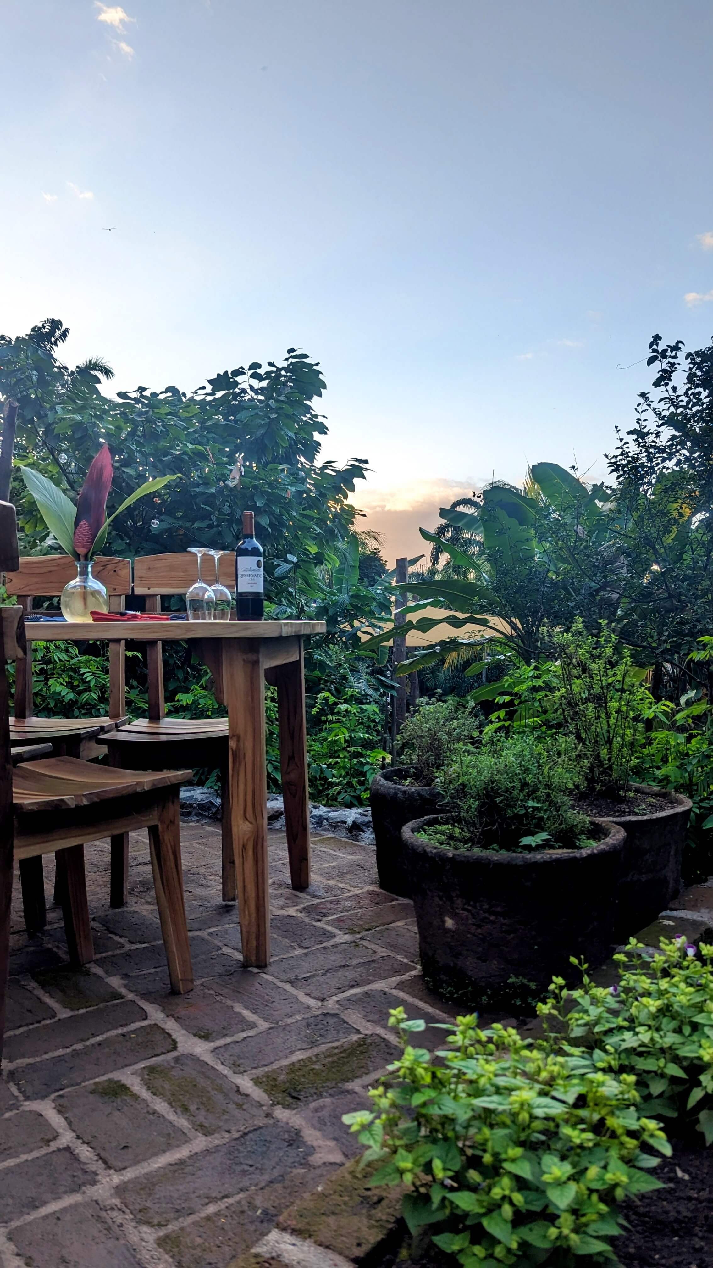 Zapote restaurant  Outdoor dining and drinks in edible food forests @Selvista #ometepeislandeats 2023 (14).jpg