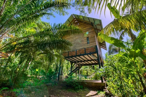Luxury+jungle+house,+up+in+the+trees,+rear+view,+Jackfruit+House,+Selvista+accommodations+Ometepe.webp
