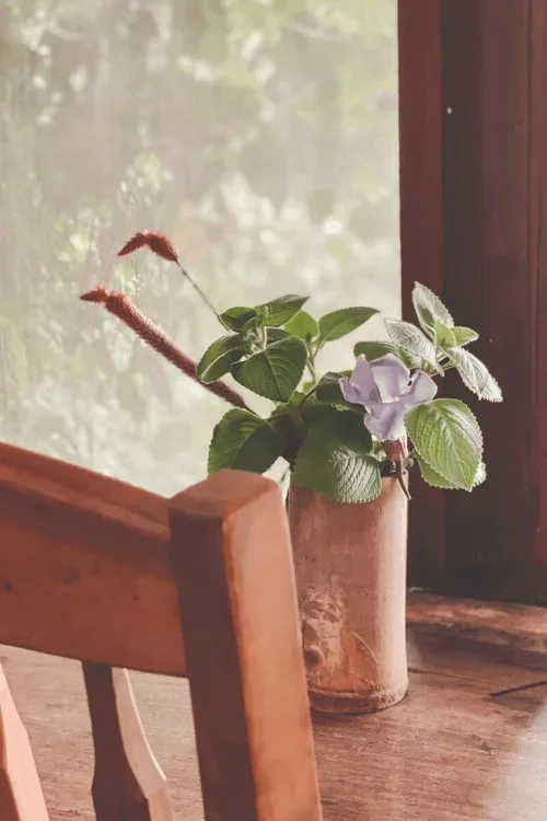 finishing+touches+in+the+guesthouses.webp