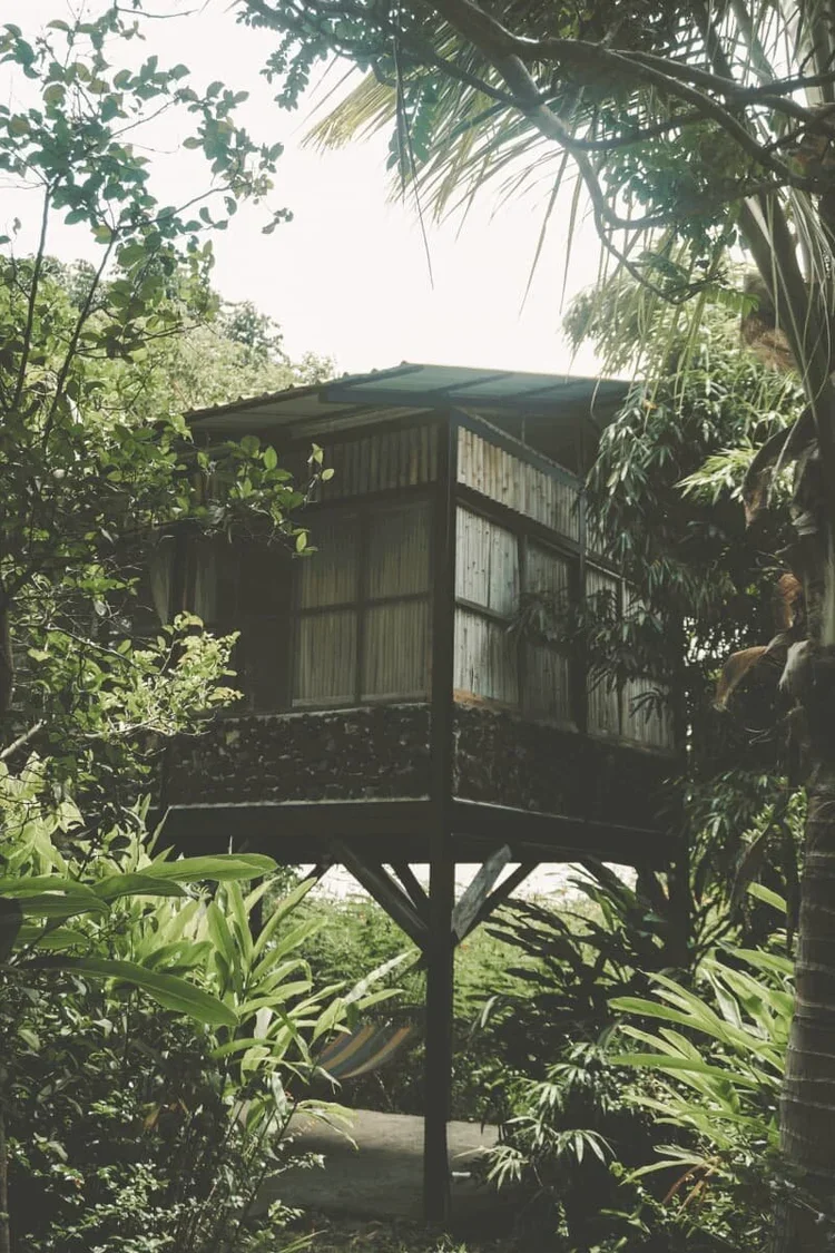 Jungle+cabin+on+Ometepe+to+rent+Cabin+in+the+woods,+Nicaragua+2+people+(1).webp