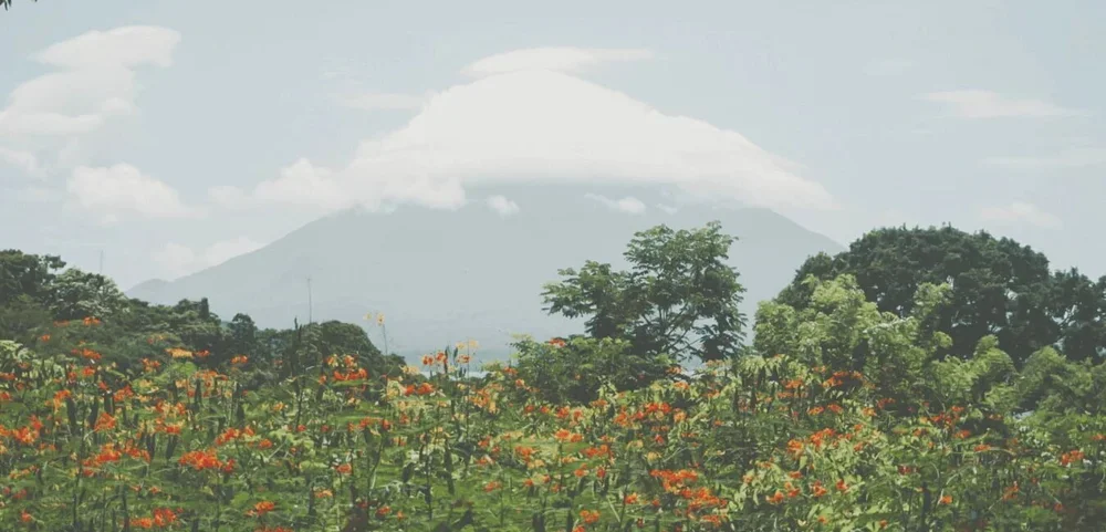Volcano+Conception+and+the+butterfly+farm.webp