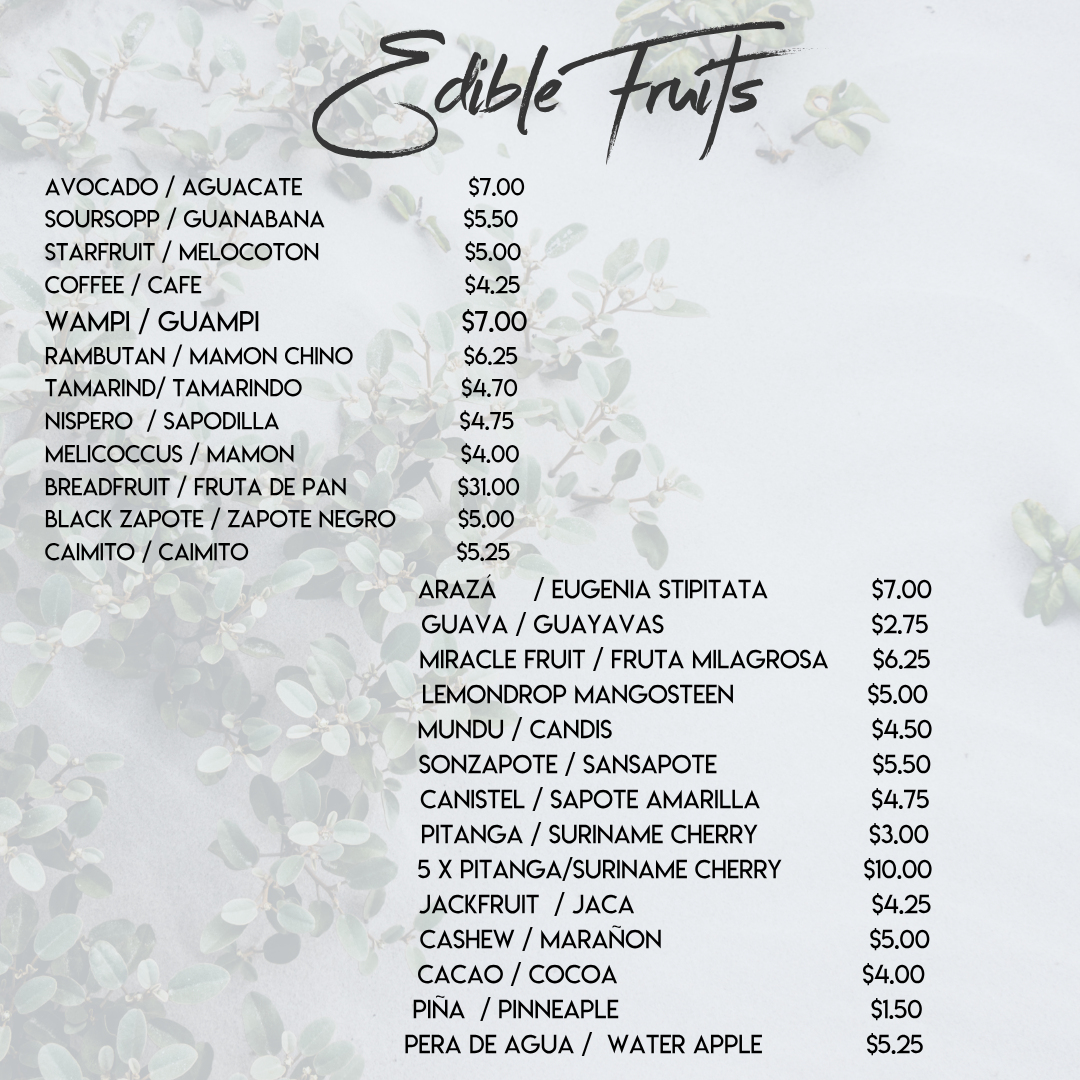 edible fruit trees plants for sale selvista nursery Ometepe island 2025 (2).png