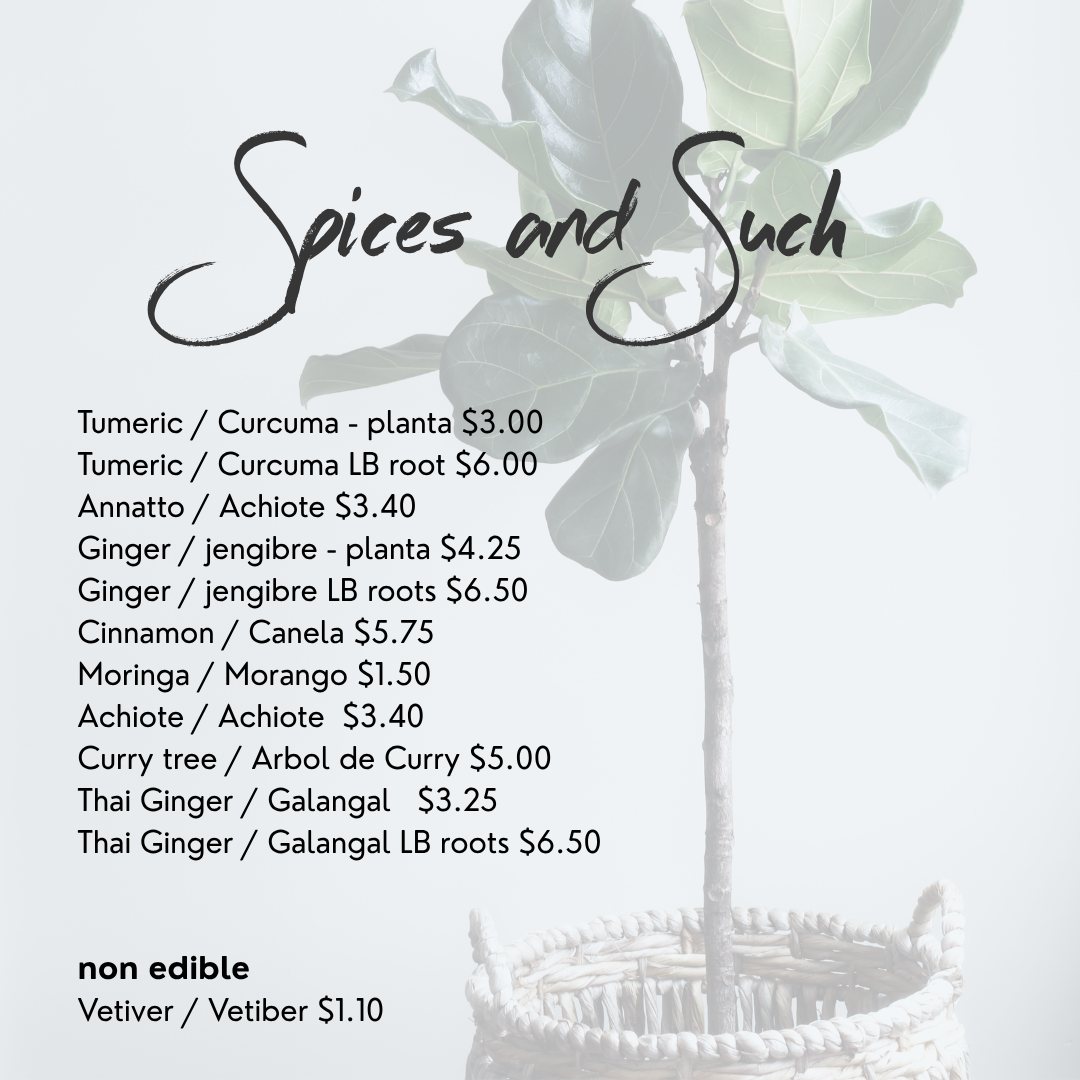 Spices and Such plants gingers, cinnamon Selvista Nursery Ometepe Island pricing menu (5).png