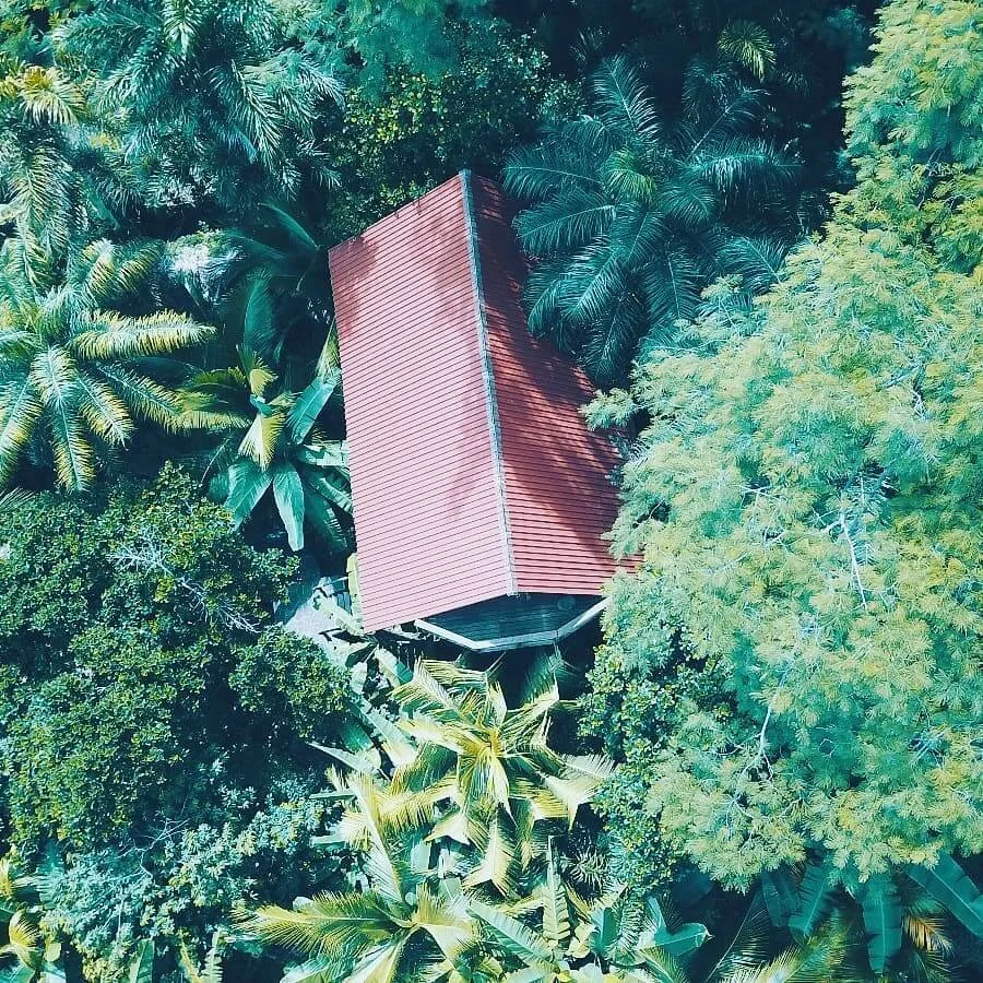 birds eye view of Selvista Tree top houses.jpg