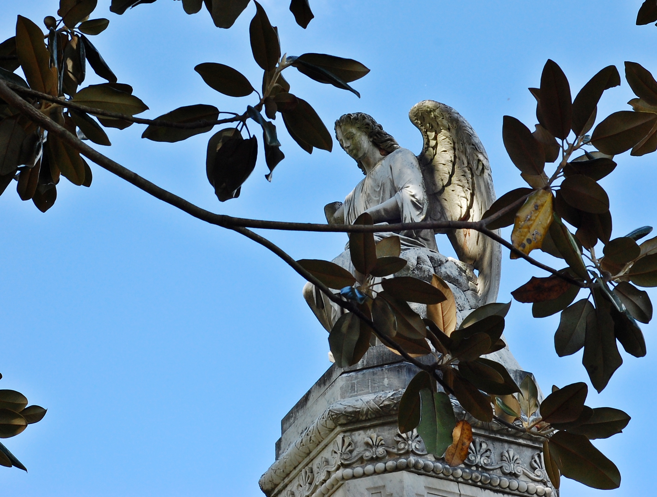 Photo by Marsha Brockman
