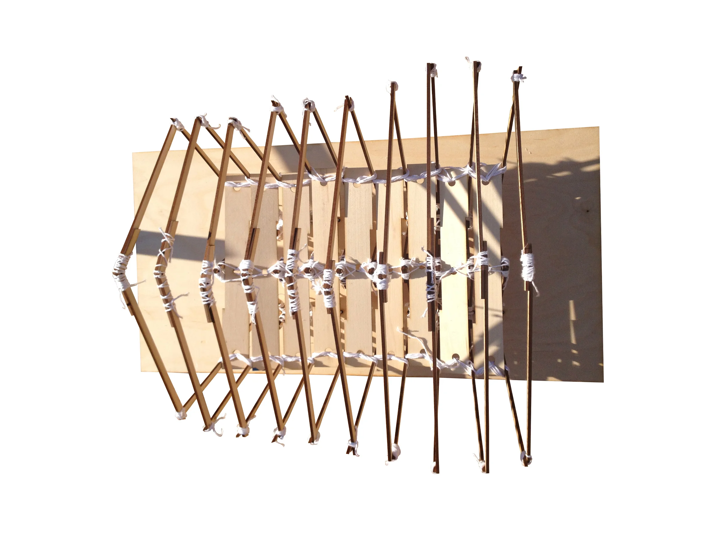 Cover photo 2.jpg