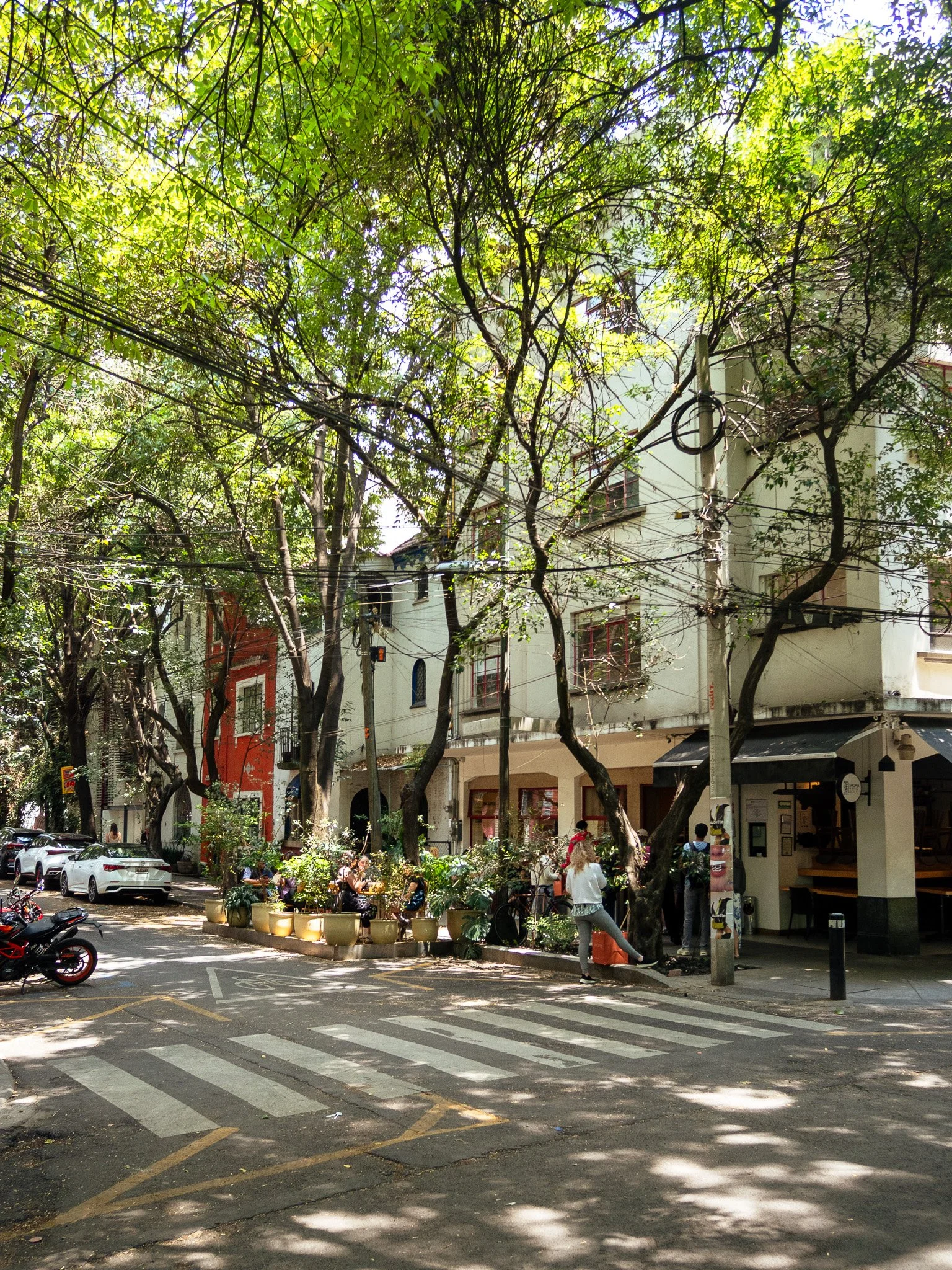 Condesa