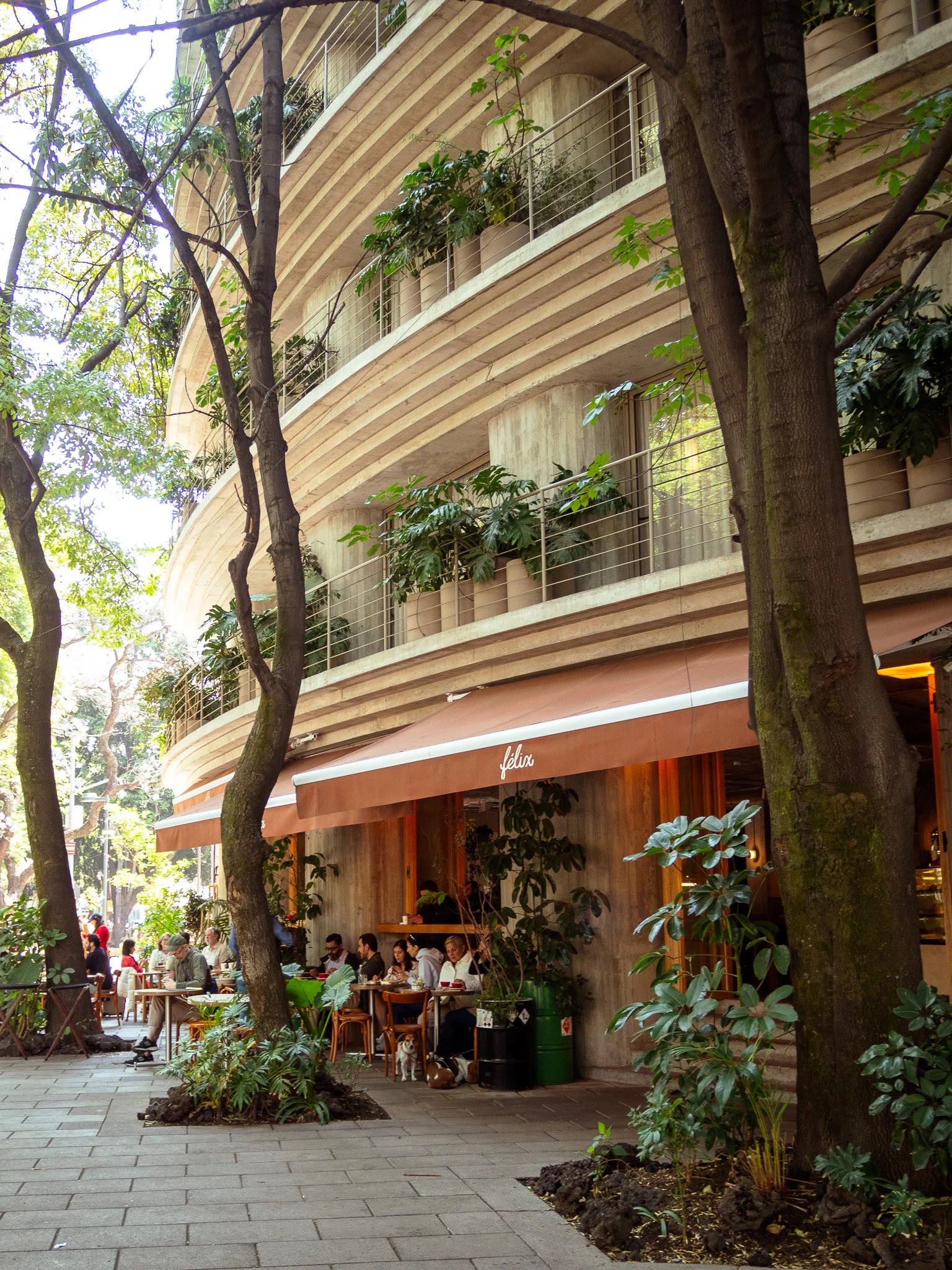 Condesa II