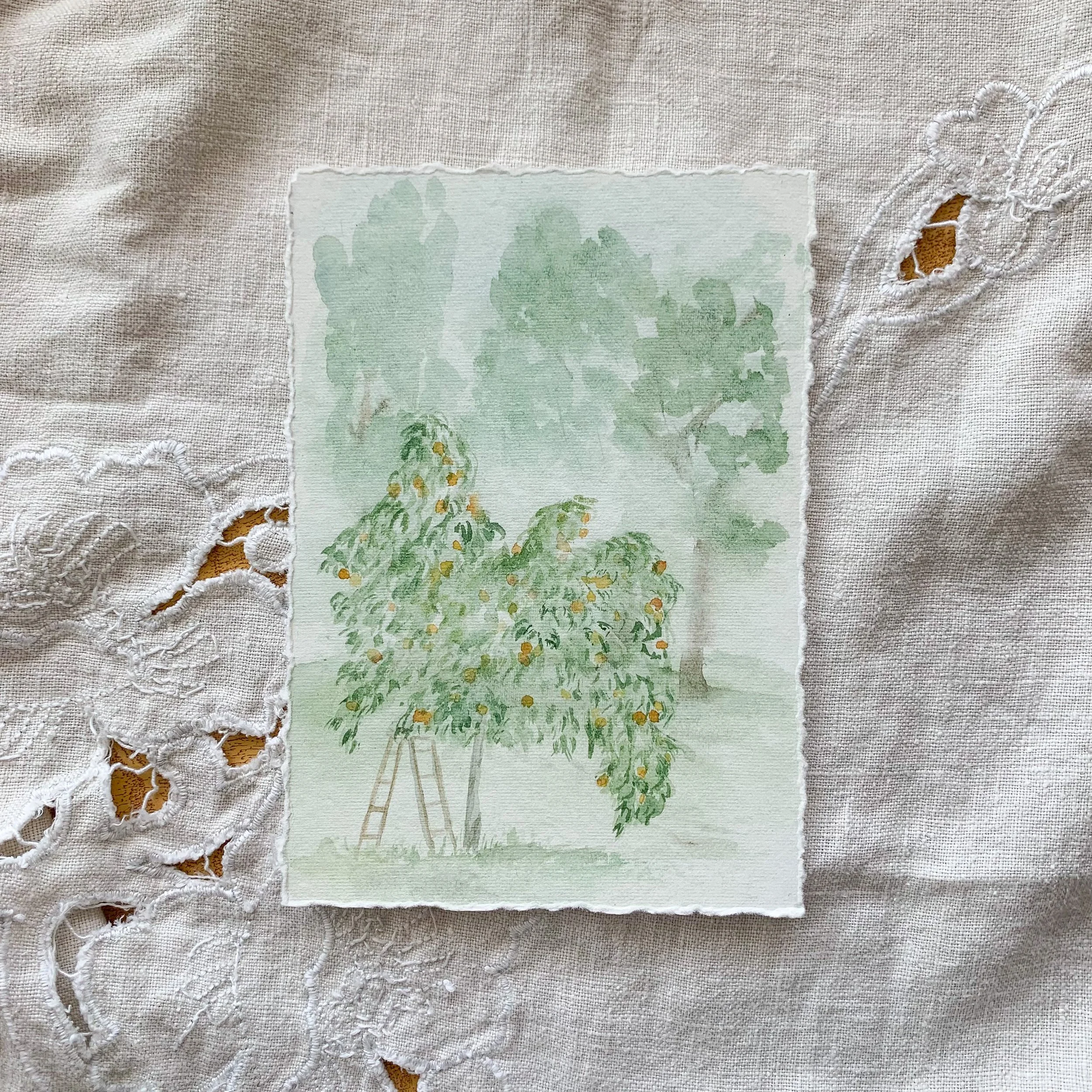 The Peach Tree