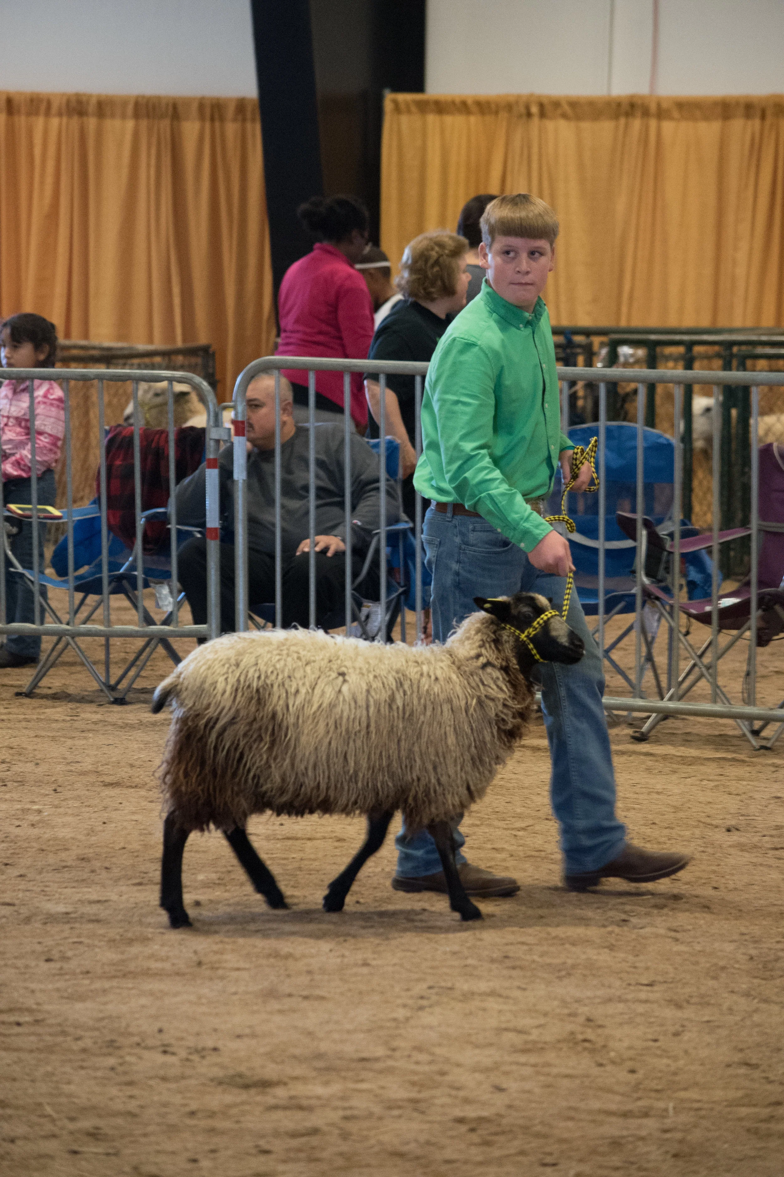 dsc_2694.jpg