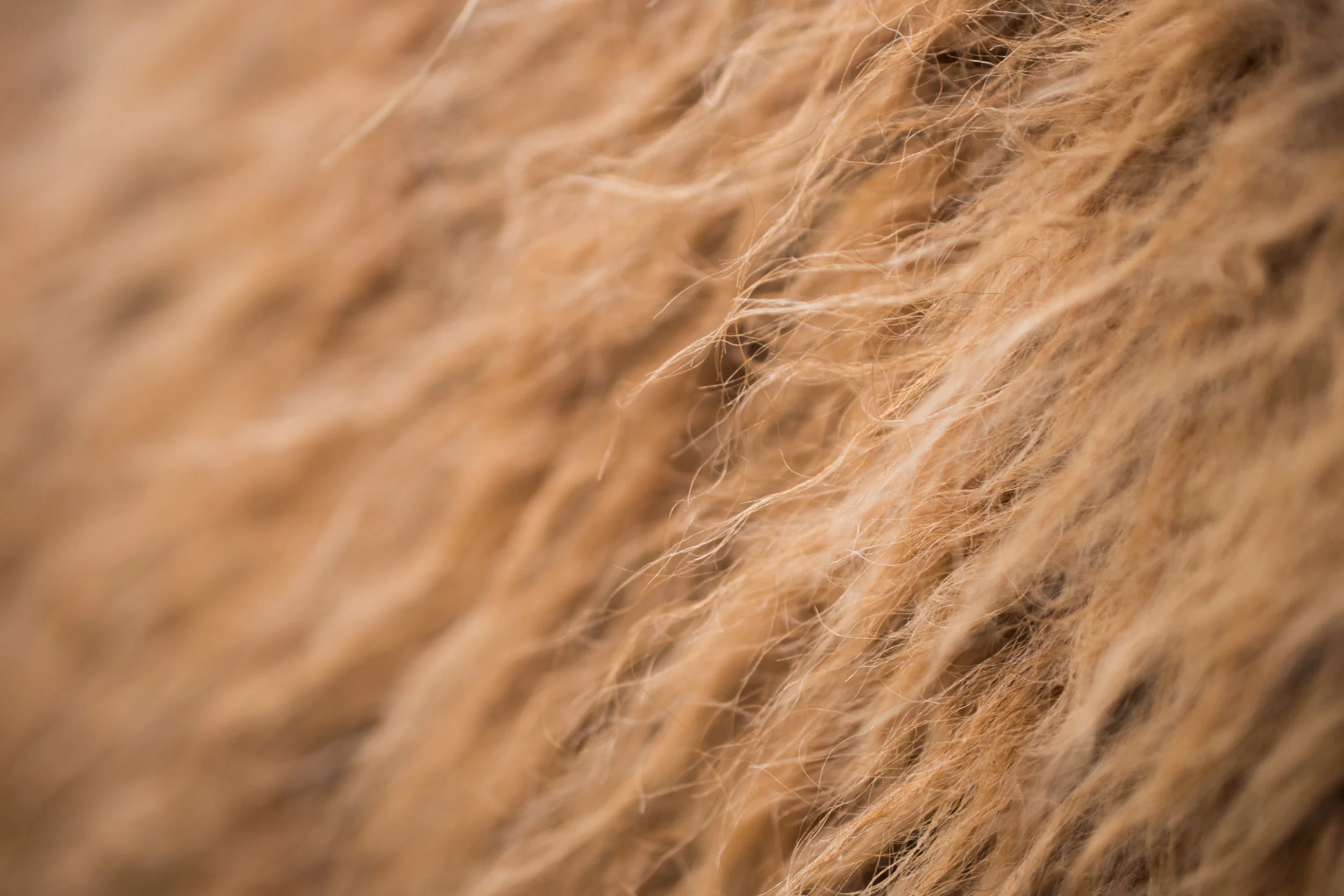 Wool 101: Understanding the basics — M See Creative