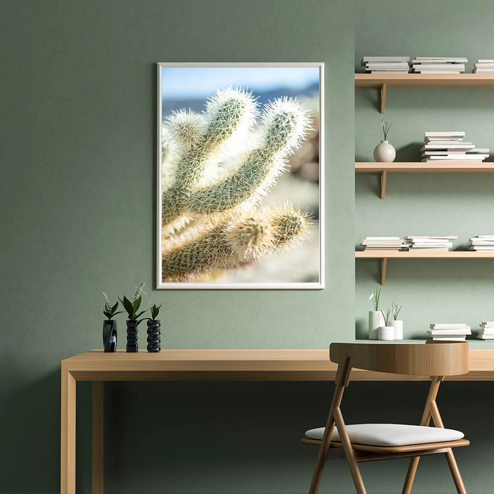 Cholla Cactus 