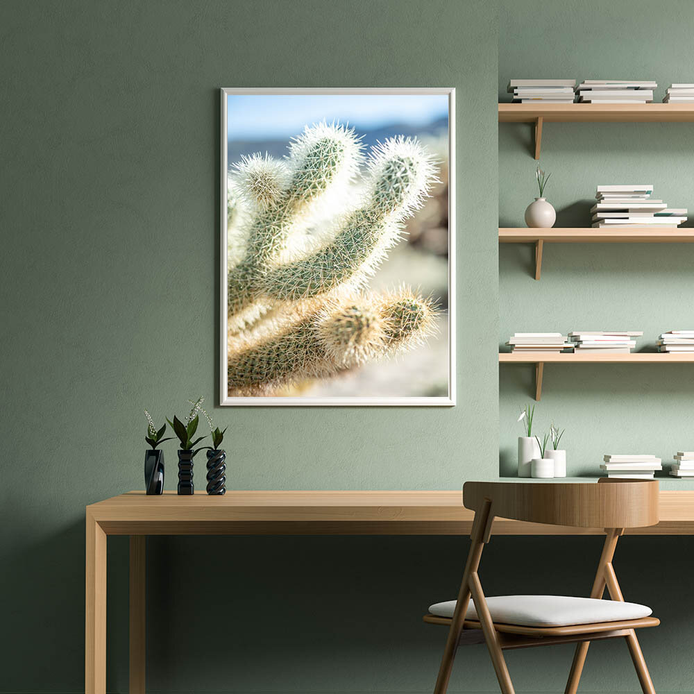 cactus cholla.jpg