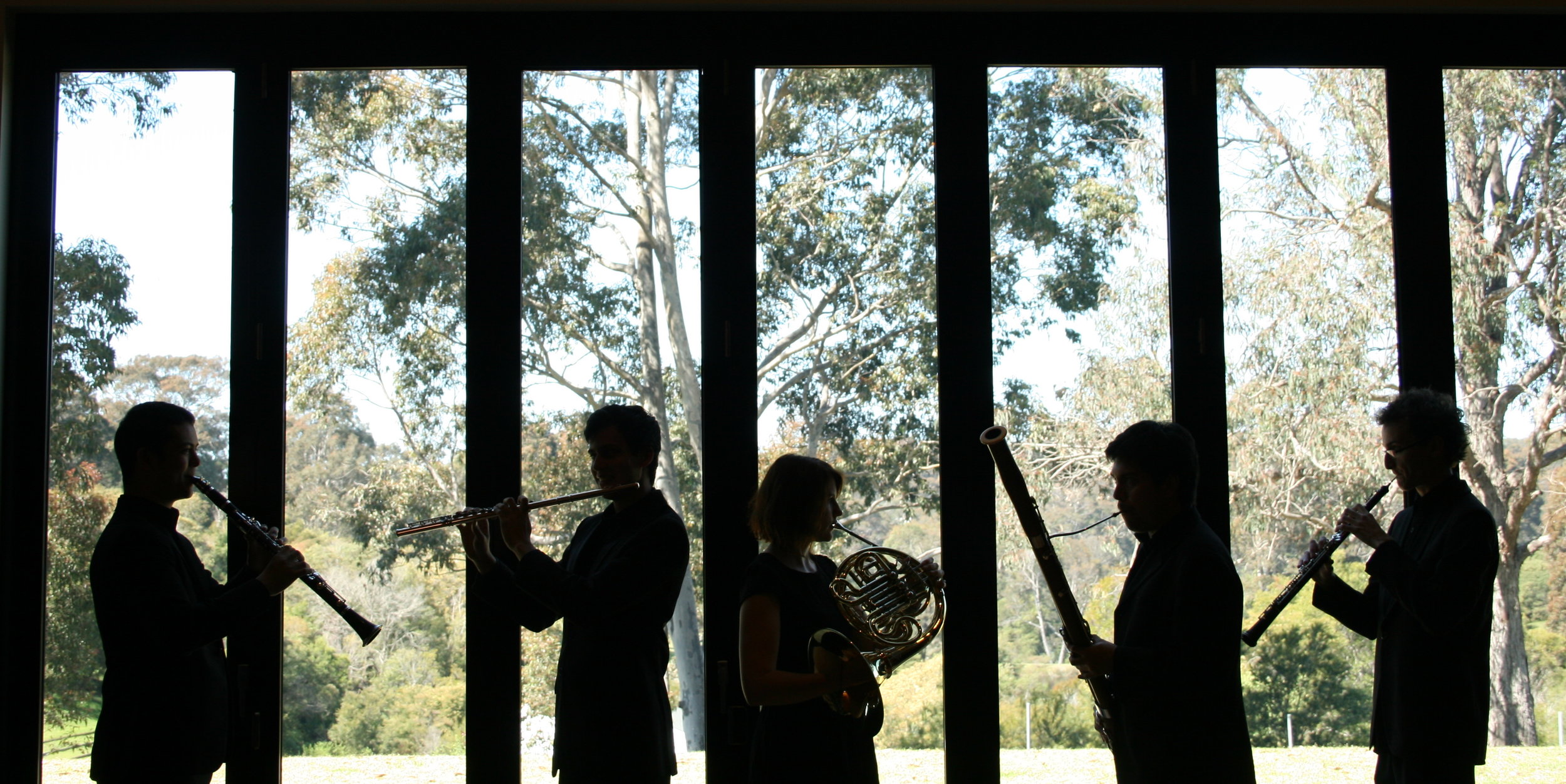 2014 september october - arcadia quintet residency windsong pavillion rehearsal band- photo by Sam Davis - hi res.24242.JPG