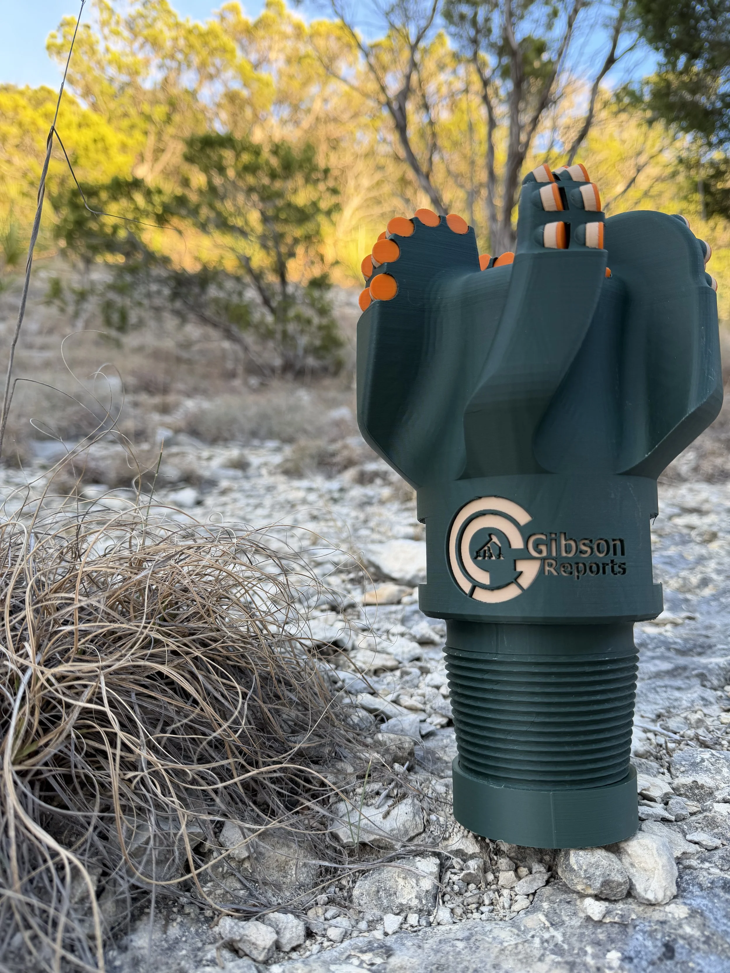 2026-02-22 17.44.53.jpg