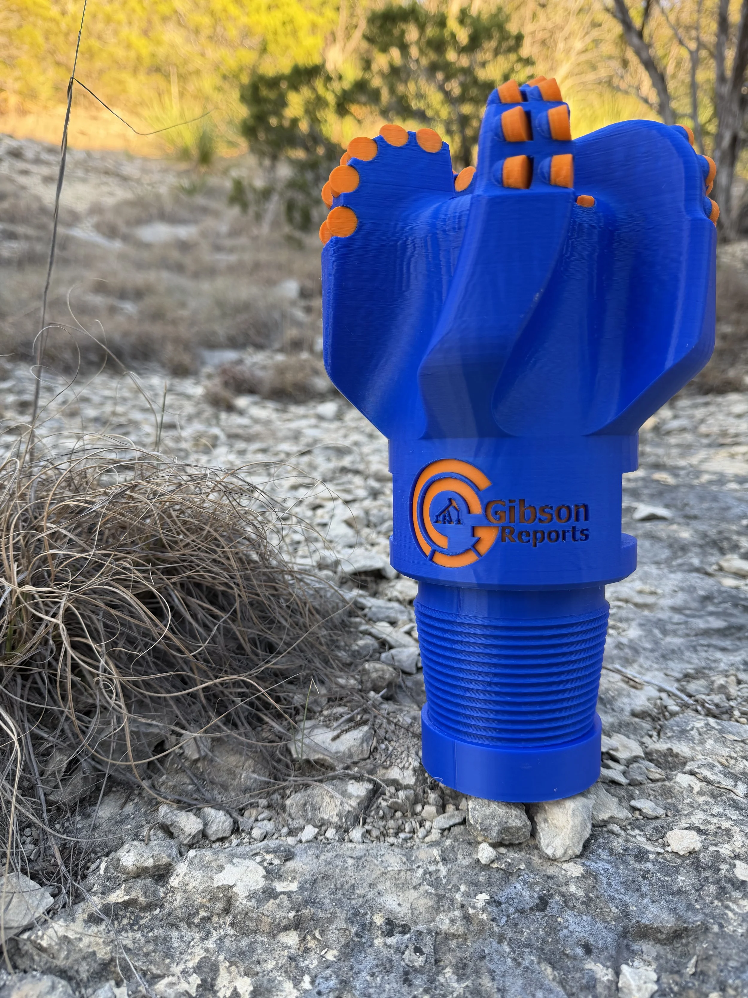 2026-02-22 17.43.15.jpg