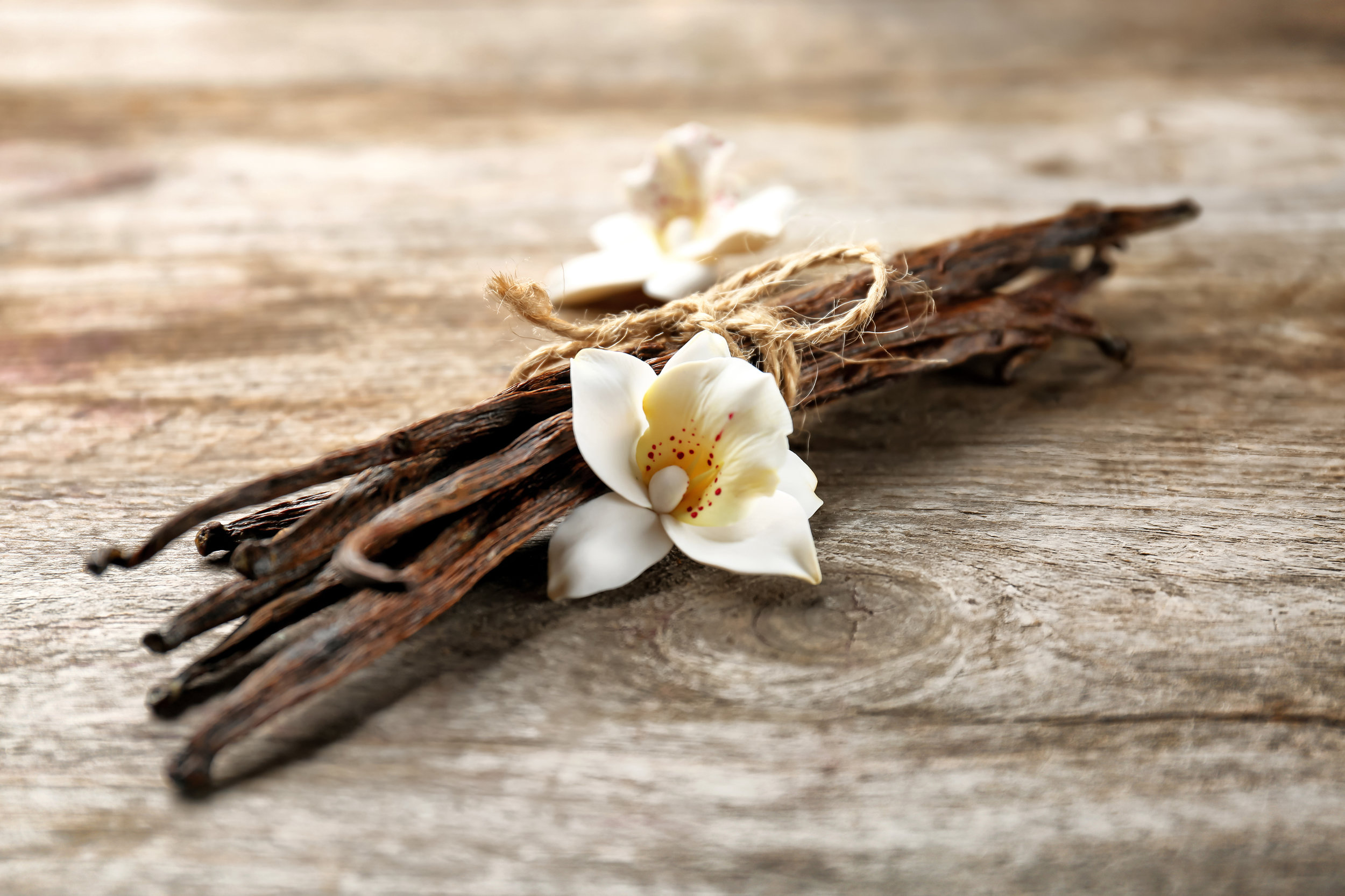 bigstock-Dried-vanilla-pods-and-flower--213913732.jpg