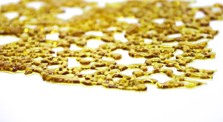 Girl Scout Cookies Shatter = 1G - $40 Show your merit and find your focus when you smoke on Sweet Leaf Concentrates Girl Scout Cookies Shatter. This Indica-dominant Hybrid blends herbal flavors with bursts of berries and vanilla to balance the spiciness. Sweet Leaf Concentrates Girl Scout Cookies Shatter has earned many badges and is most effective at treating cramps, inflammation, and muscle spasms.