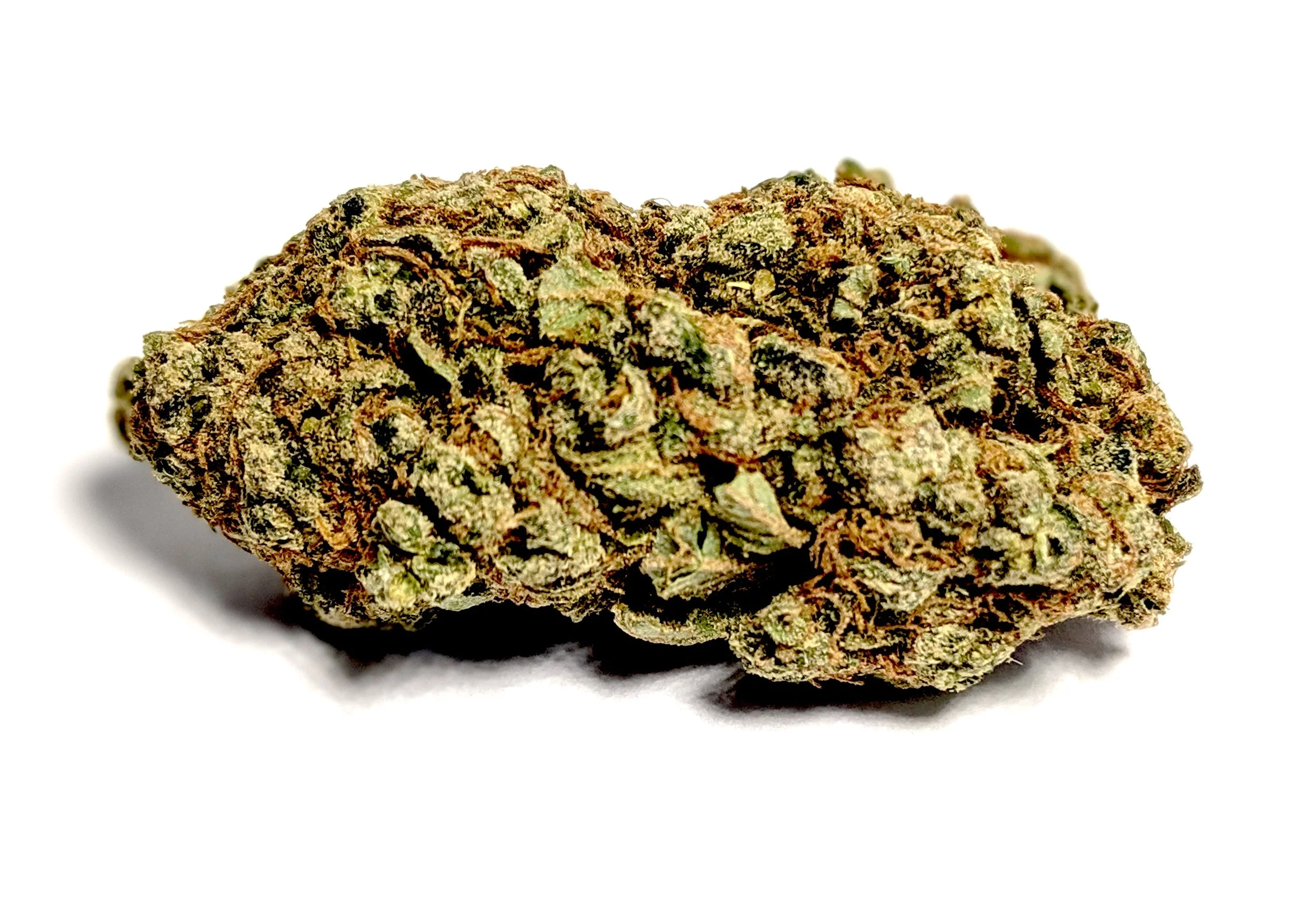 G13 - Indica 1/4- $55 1/2-$95 OZ-$160 G13 is a very strong strain of cannabis indica that is the subject of many urban legends. According to some accounts, the CIA, FBI, and other agencies gathered the best strains of marijuana from breeders all over the world. At a super-secret installation at the University of Mississippi, they bred many new super hybrids in the late 1960s. Allegedly, a single cutting of this plant was liberated by an unnamed technician and bred for the masses. Although the legends are probably not true, G13 delivers effects like no other. If you have the opportunity, definitely partake in this strain.
