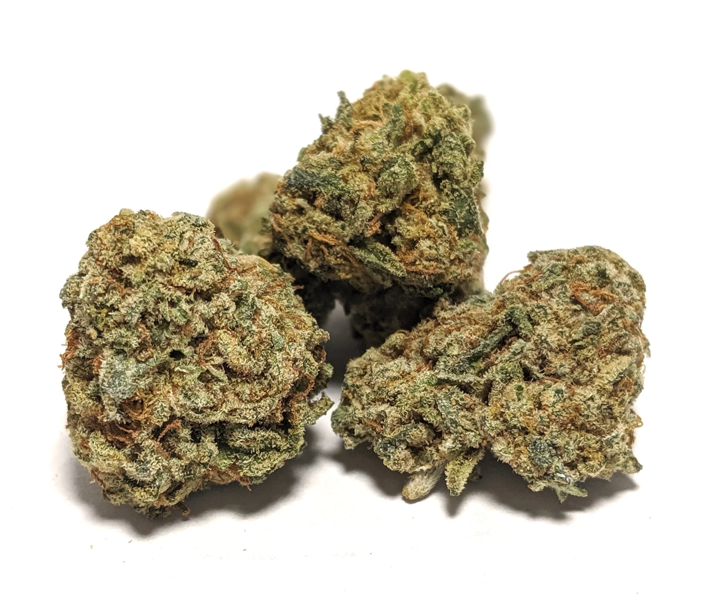 24 Karat Gold- Hybrid 1/4- $70 1/2-$120 OZ-$220 Also known as Kosher Tangie, 24k Gold is a 60% indica-dominant hybrid that combines the legendary LA strain Kosher Kush with champion sativa Tangie to create something quite unique. Growing tall in its vegetative cycle and very stretchy in flower, this one will need an experienced hand when grown indoors. Most phenotypes will exhibit a sweet orange aroma from the Tangie along with the dark coloration of the Kosher Kush, and will offer a strong citrus flavor when smoked or vaped. THC levels range from 18% to 24%; definitely not for novice users!