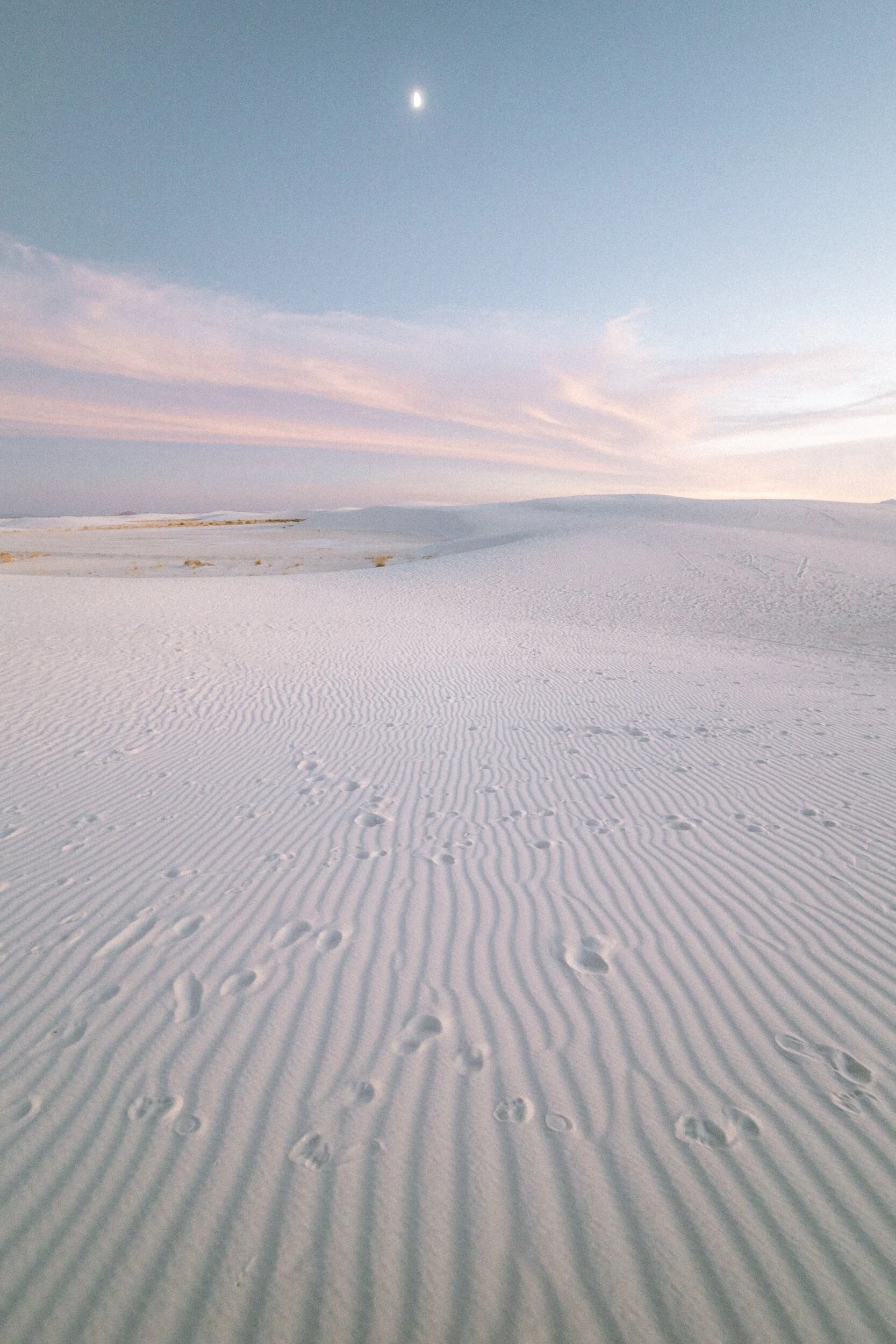 The Issue is In the Tissue