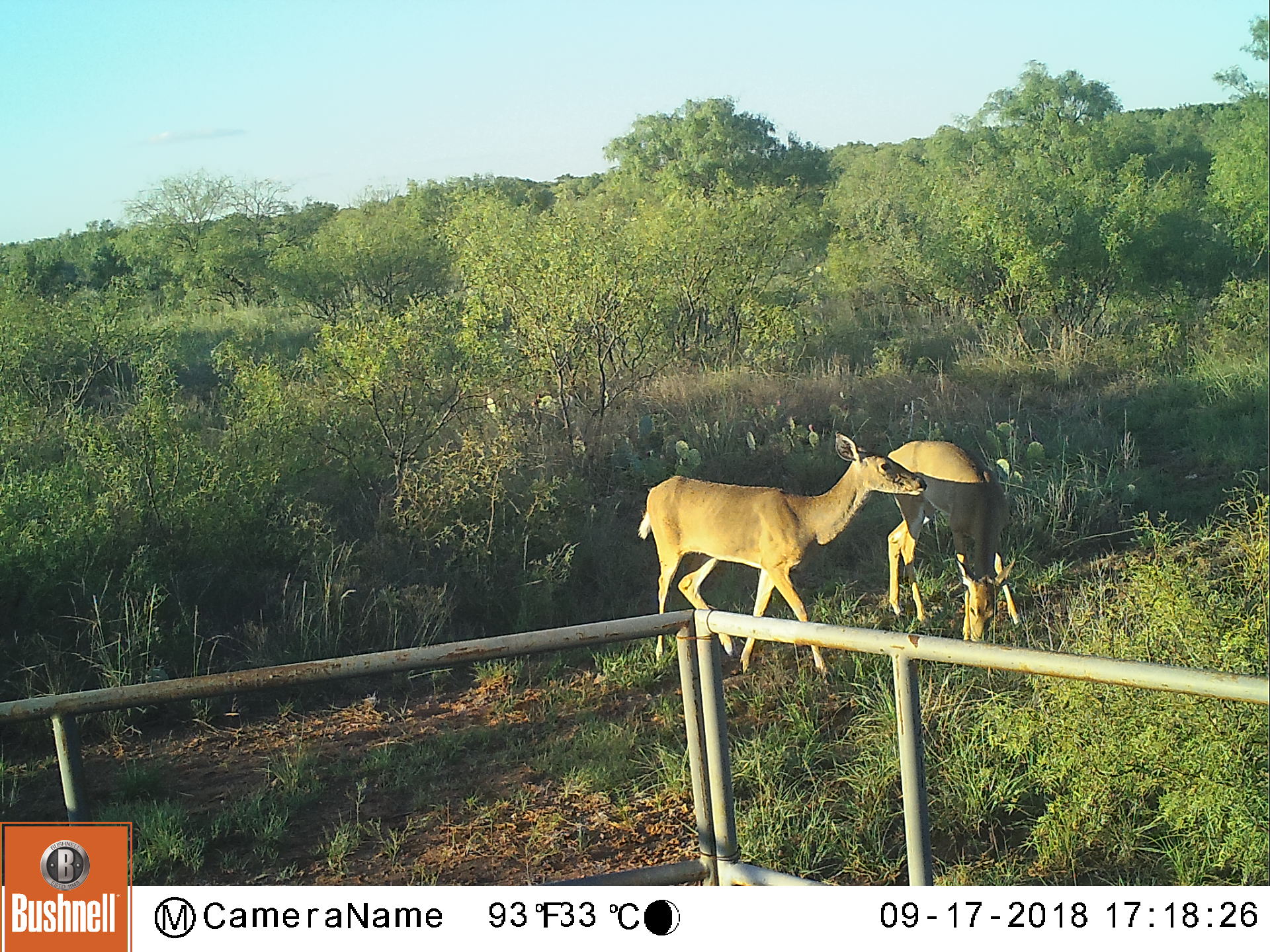 Youth Hunt January 2022