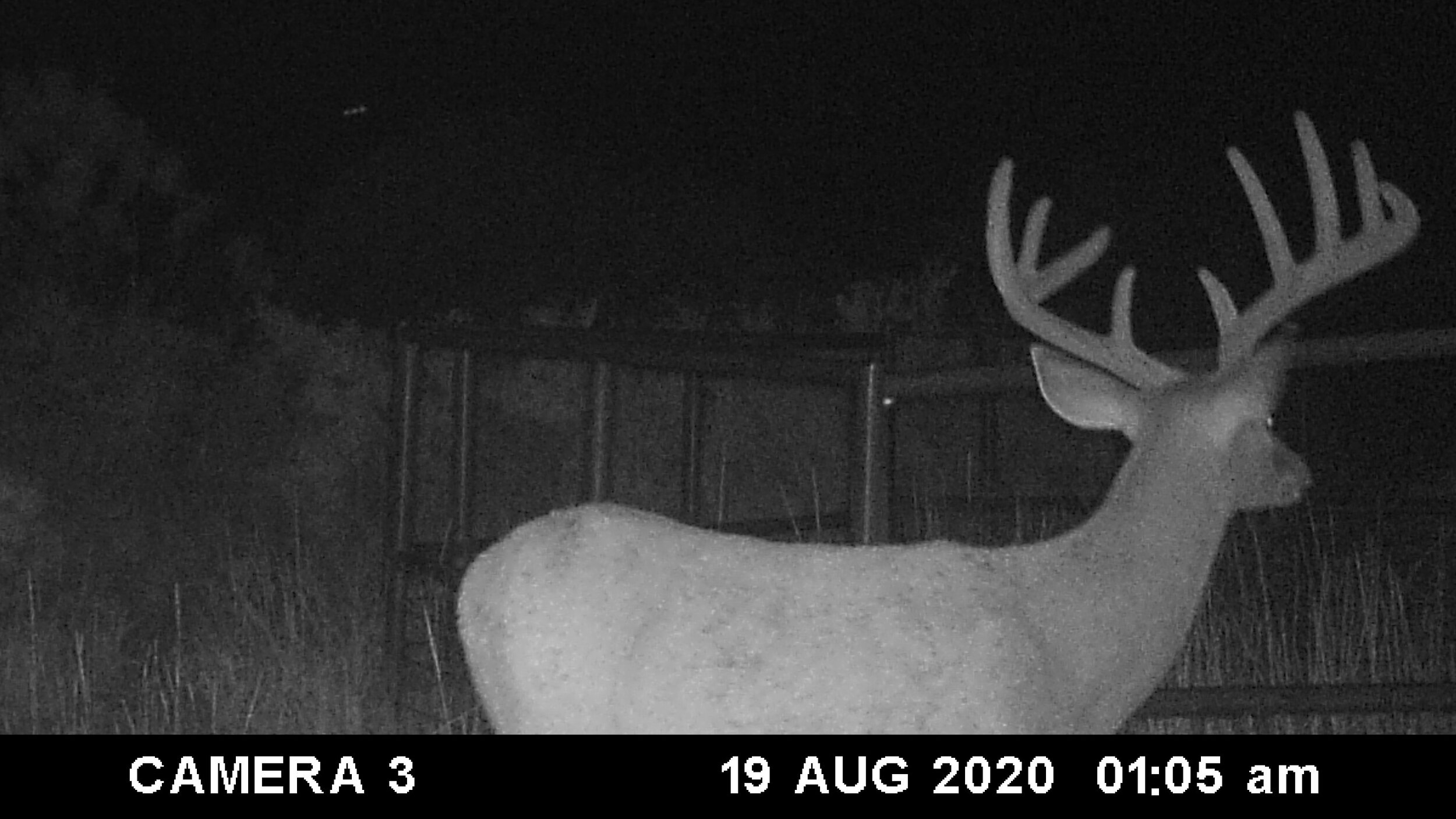 Down payment to hold weekend hunt. Holmes party.