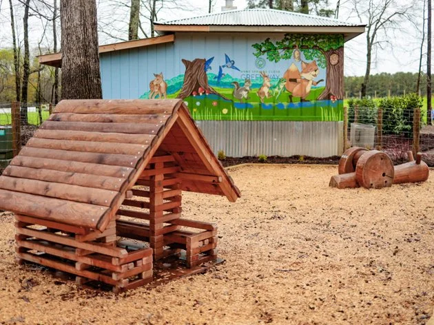 Schroering Forest Playground, Anne Springs Close Greenway