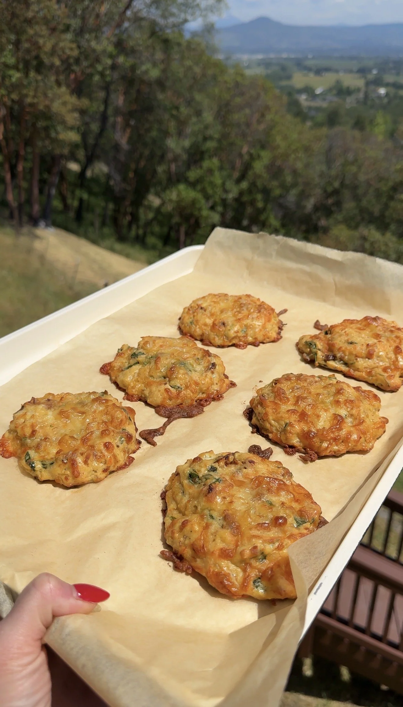 meal plan week 9